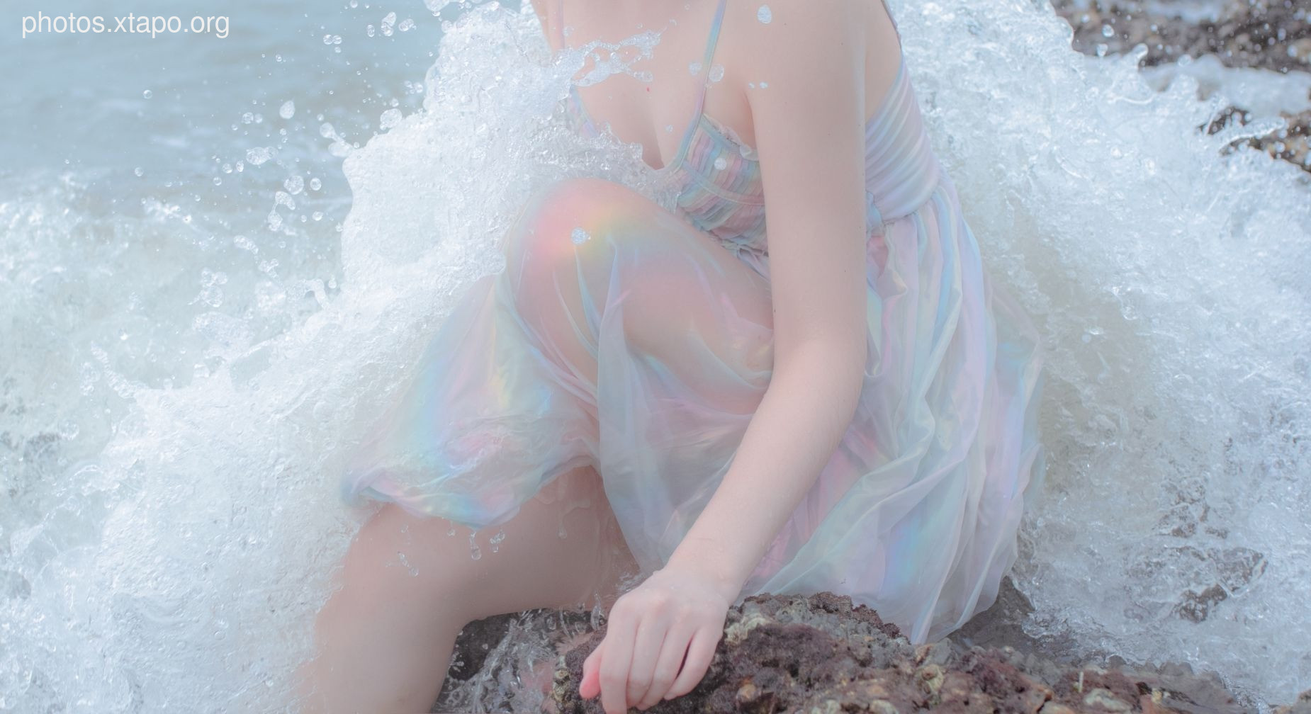 Crazy Cat SS Thinking This Reef Mermaid Crazy Cat SS Thinking This Reef Mermaid