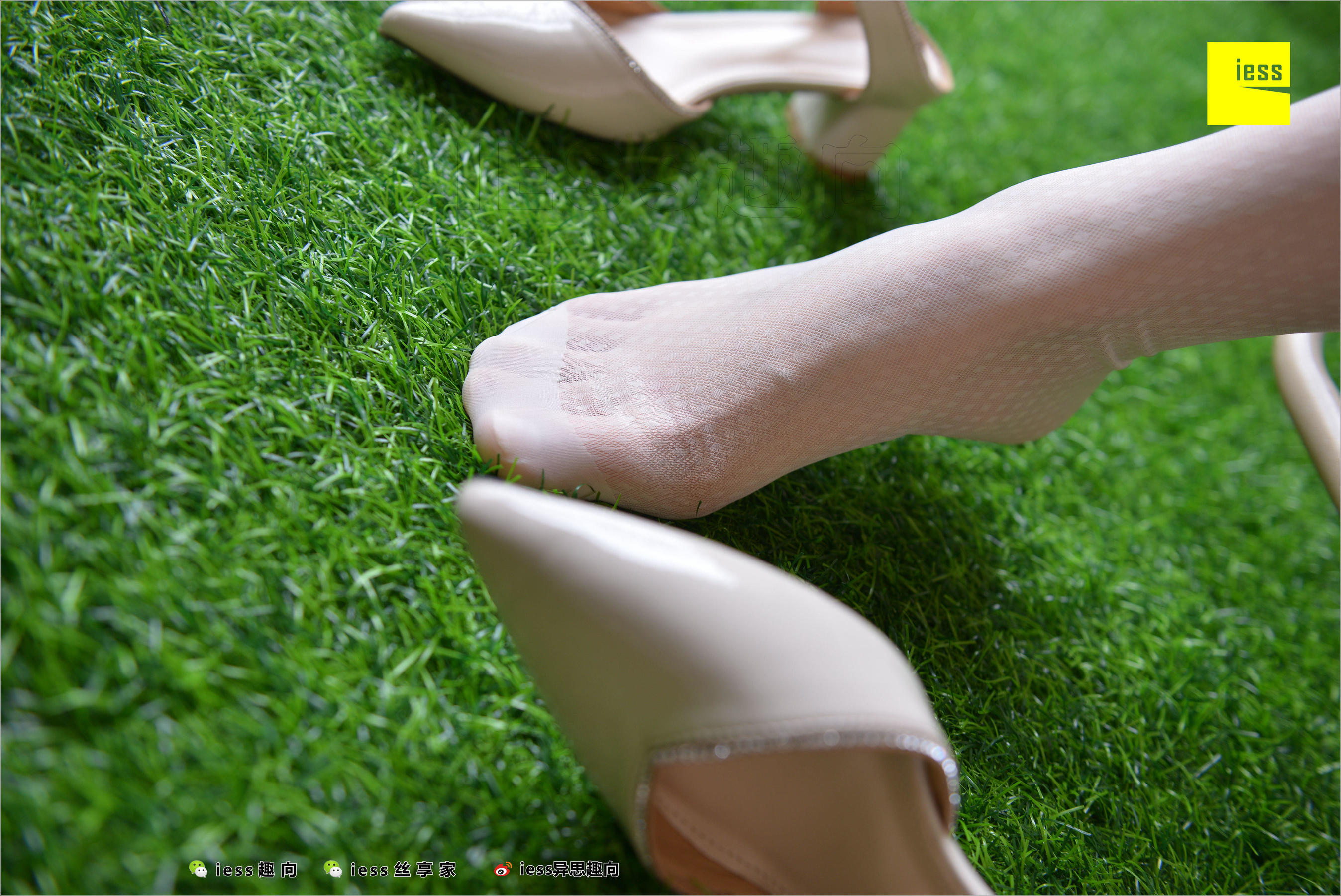 Xiao Jie's Little Classic Retro Pure White Nylon Silk Different Thoughts to IESS Silk Foot Bento 227