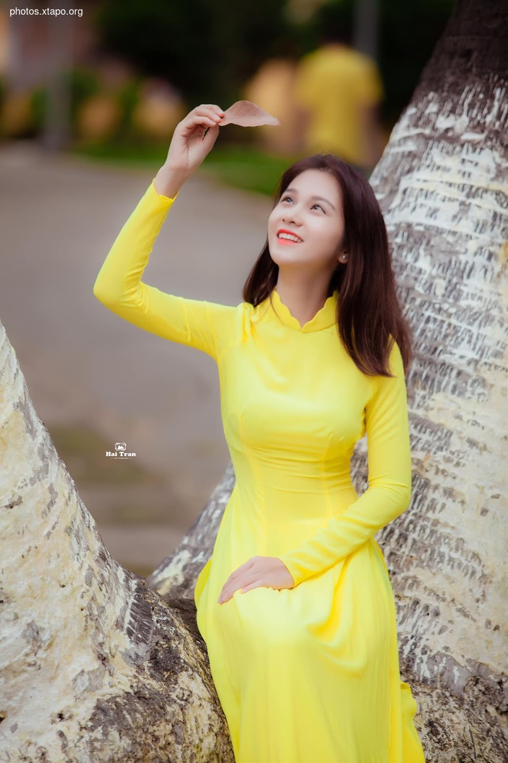 Nguyen Thao Sang