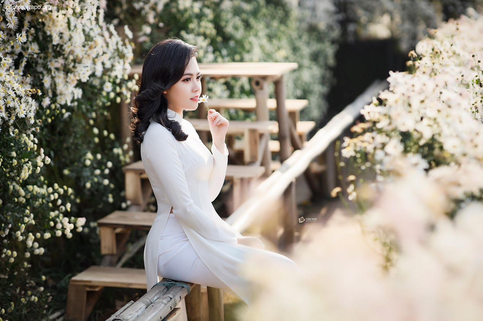 A young woman in a traditional Vietnamese Ao Dai dress poses amidst blooming white flowers.  She holds a delicate blossom to her lips, creating a serene and elegant image.
