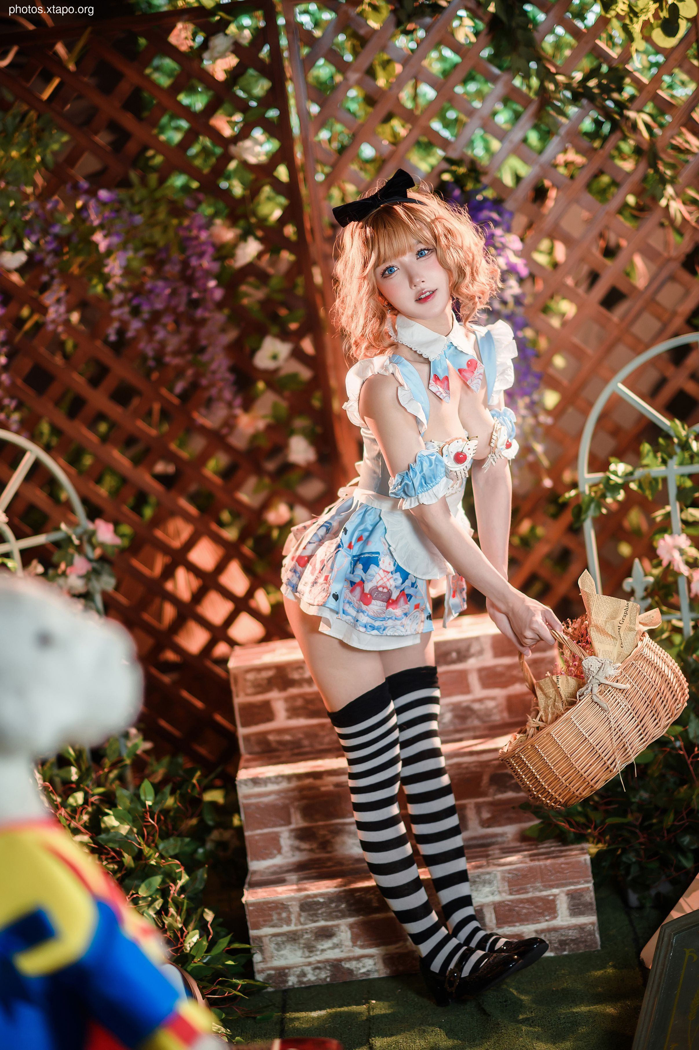 Abao is also a rabbit girl Alice in Wonderland 40P-575MB