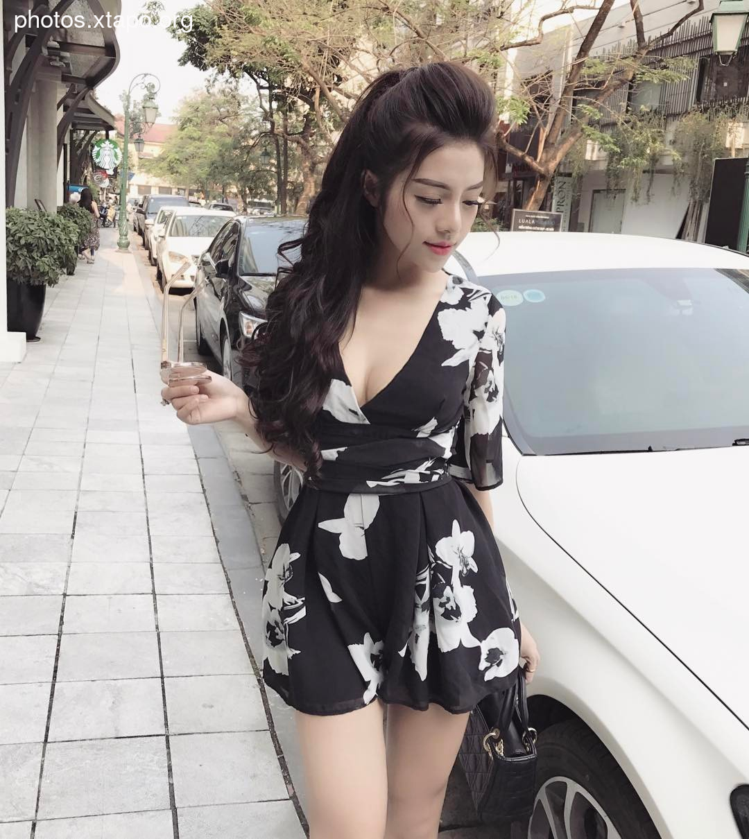 Ms Anh Temperament Picture and Photo