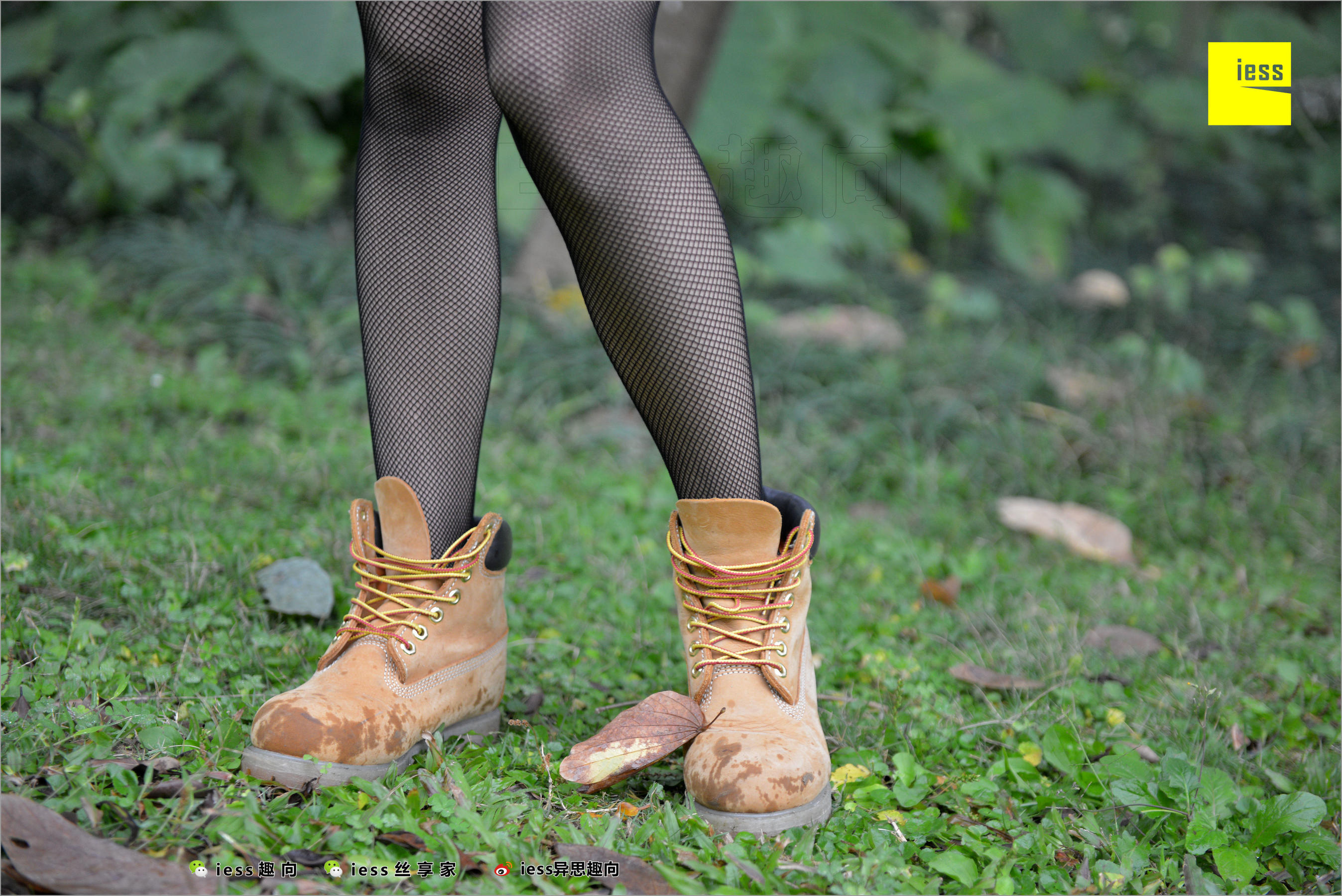 Xiaoxiao's Eye Socks that goes astray Different Thoughts to IESS Silk Foot Bento 233