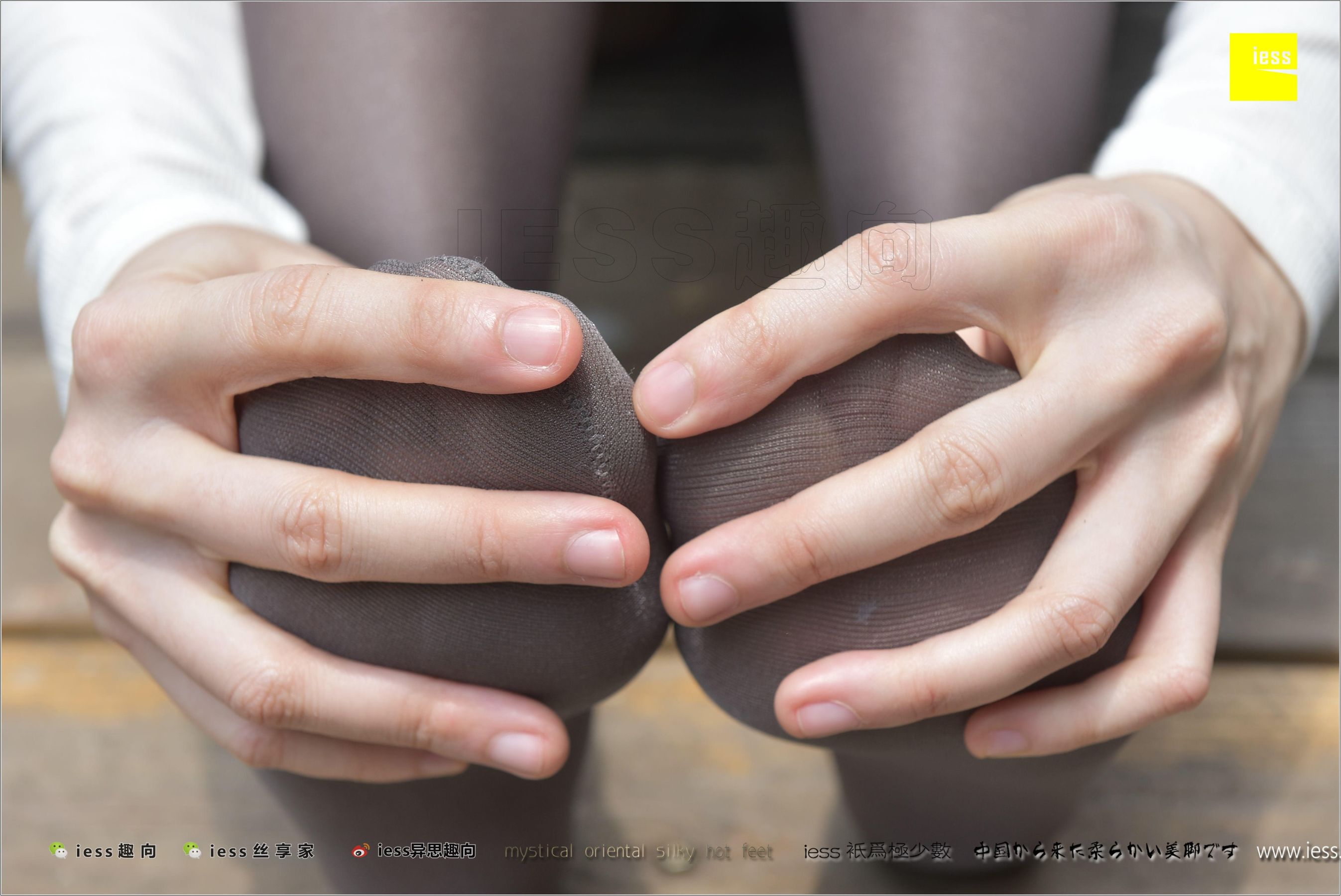 Teacher Zhao's Teacher Zhao's Metal Gray Shebin Different Thoughts to IESS Silk Foot Bento 198