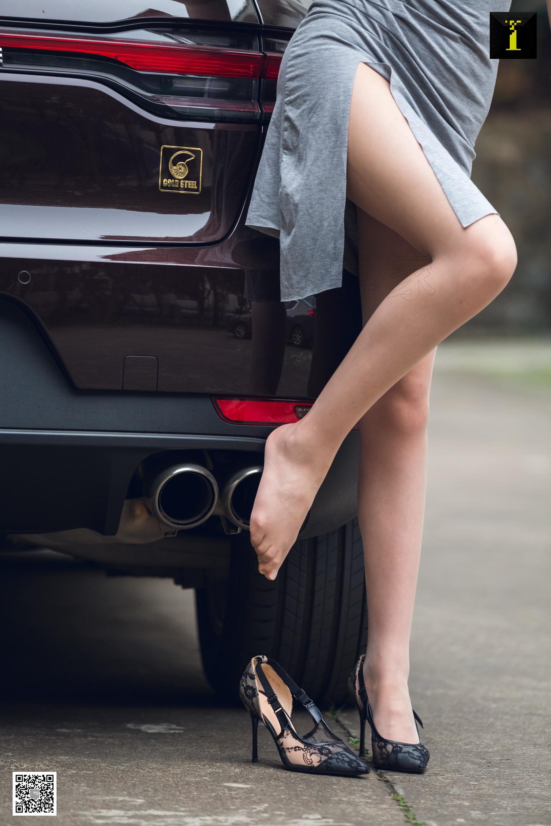 Different Thoughts to IESS Model: Jiu Mei's The Love of Jiumei's Car