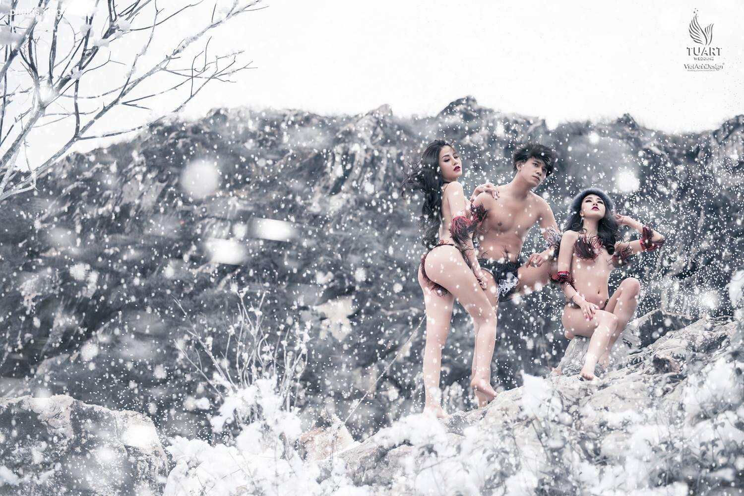 Tuyet Son Phi Ho, - Absolute Coc Coc V2 by Tuart