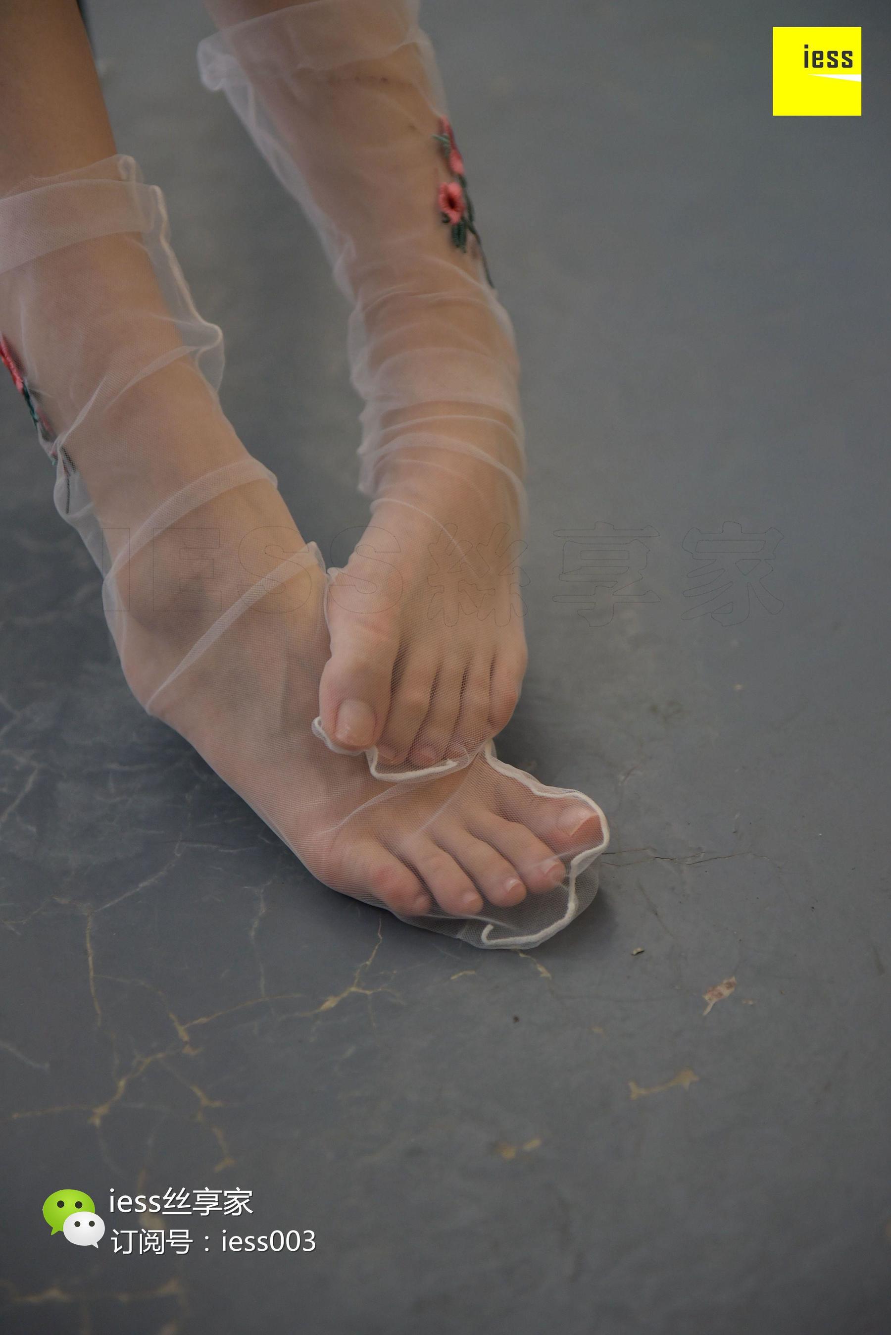 Silkxiang Home 050 Jiajia Jiajia Jiaye IESS is thinking about it