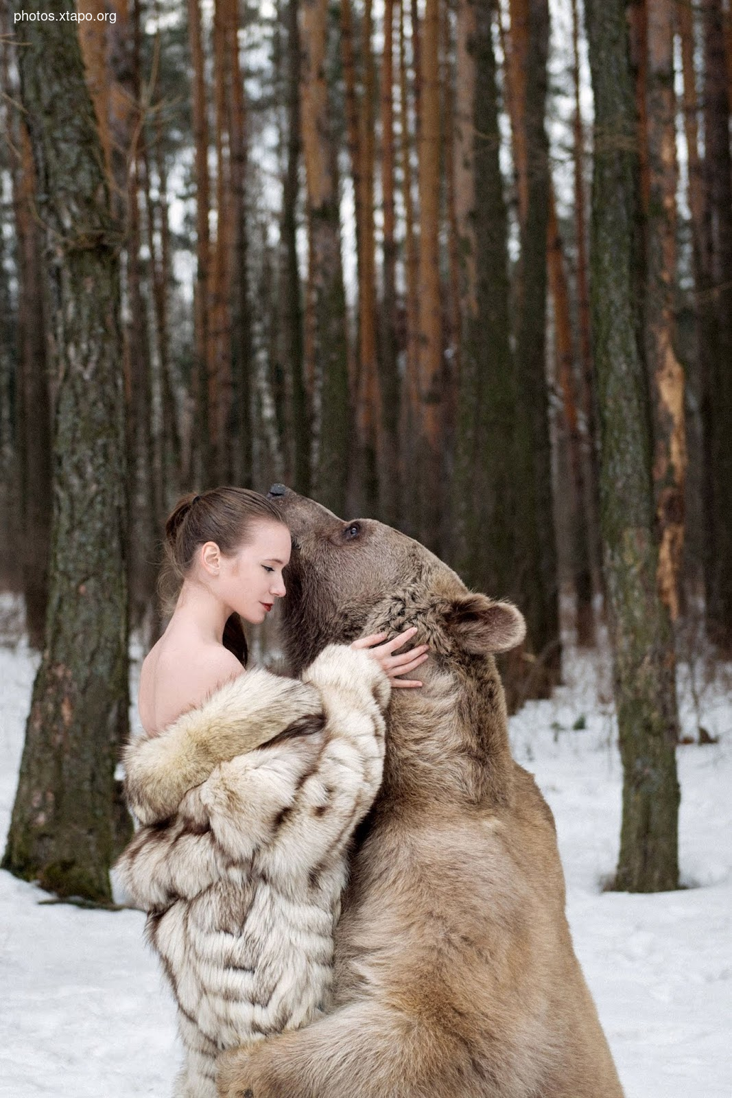 Russia nature, forest and animals by Olga Barantseva