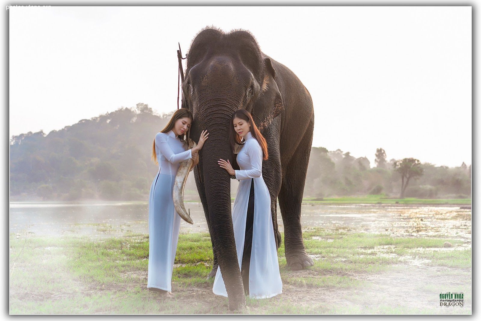 Thao Chi vs Kim Phung,