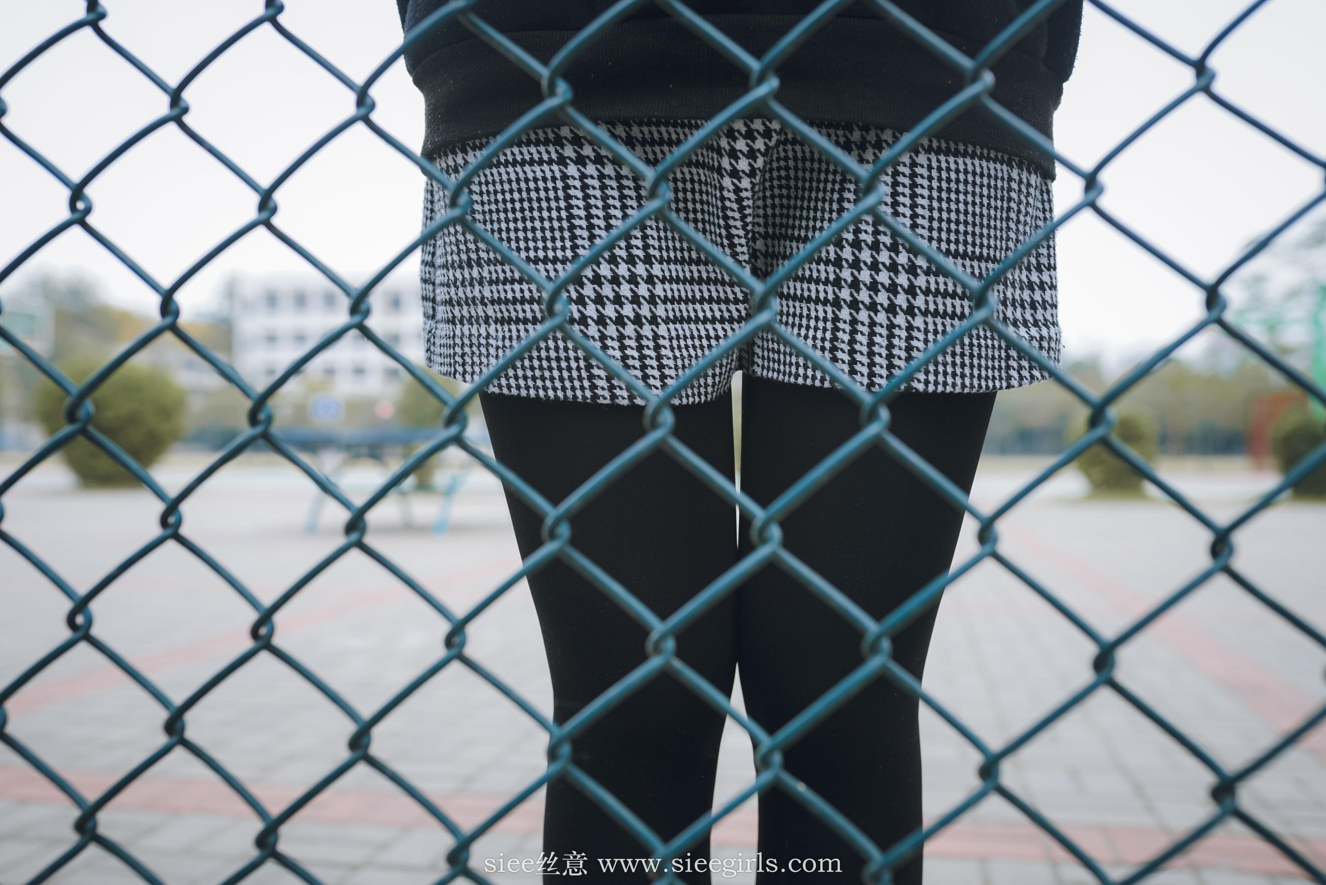 Si Yi Siee The romantic sisters of the bear