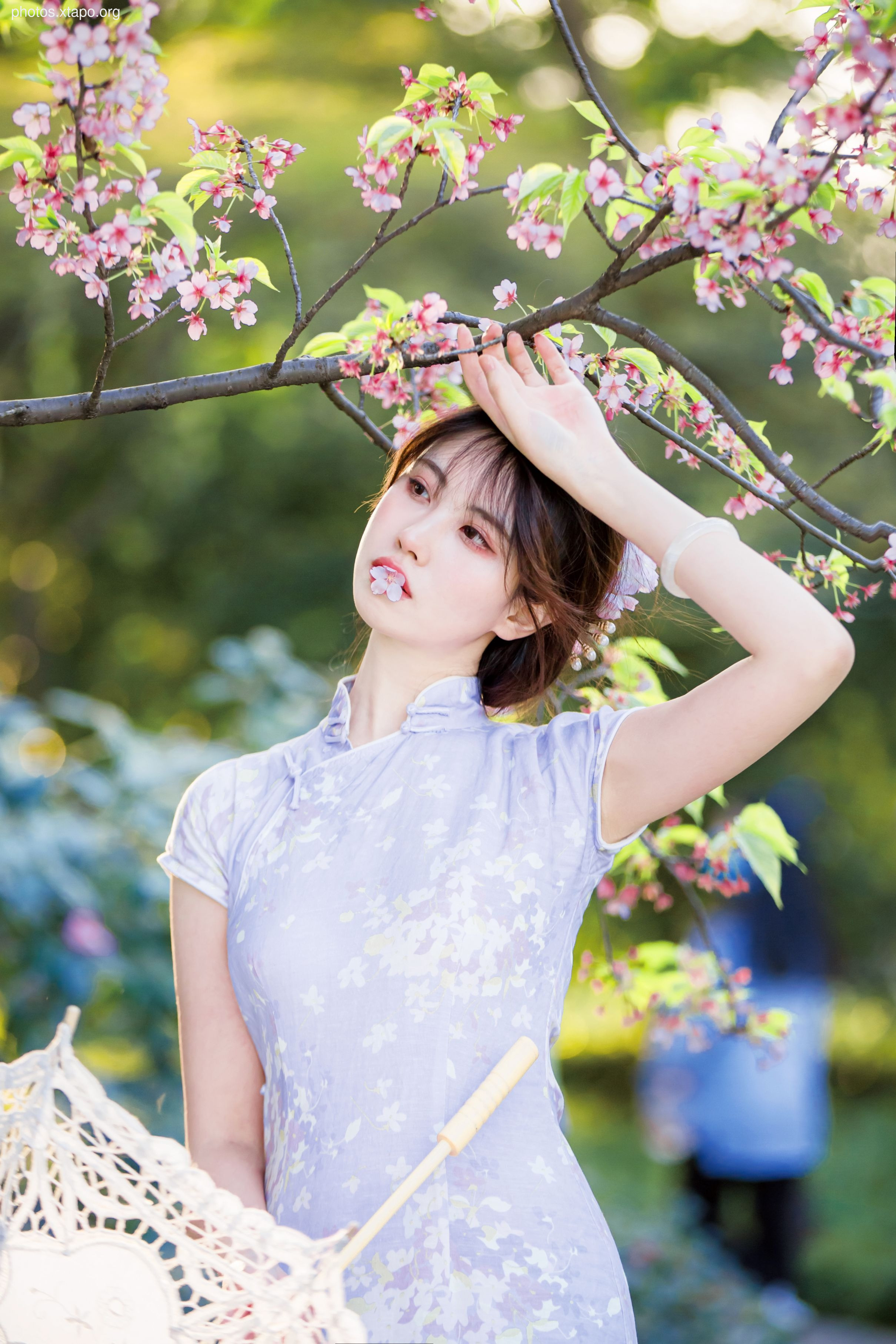 NO.026 Cheongsam 38P-377MB