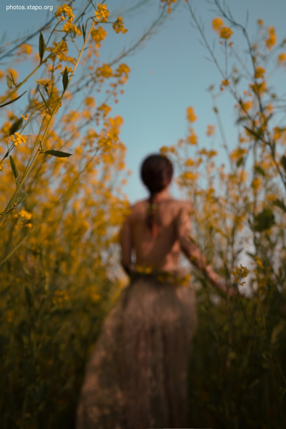 Thệp nguyit vi huân micro -醺 October October