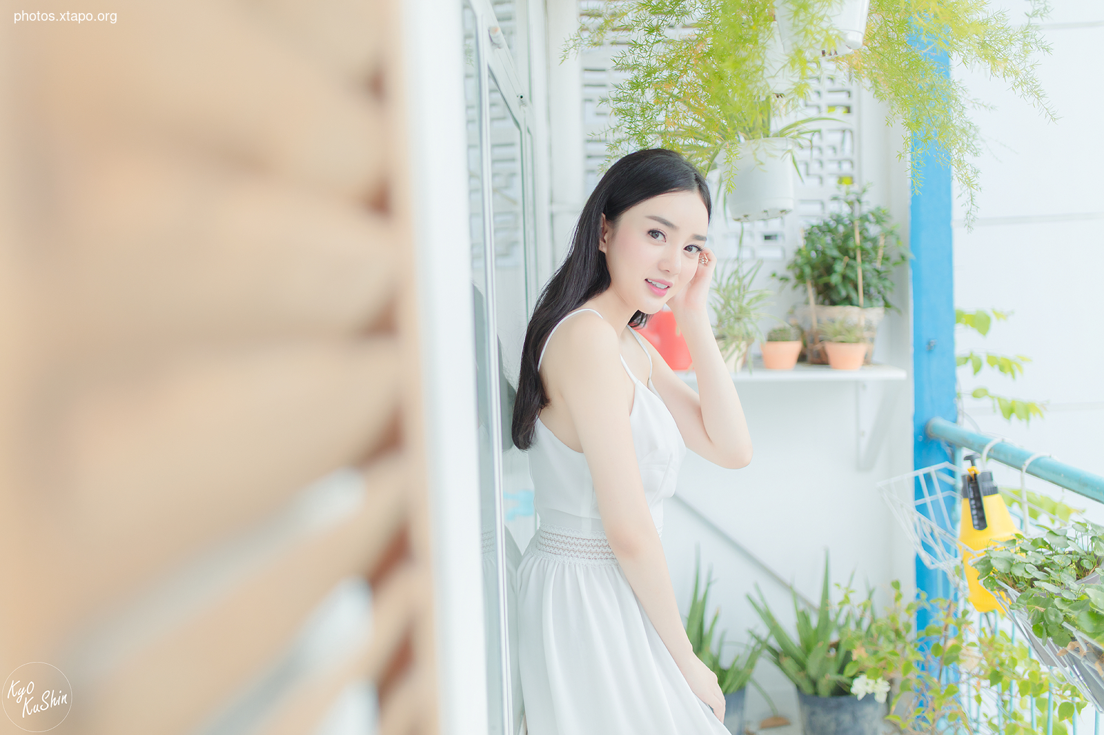 I opened the poem you copied in the past, butterflies dreamy moon The poem was short but not short Going in the middle of the memory kept using the torment