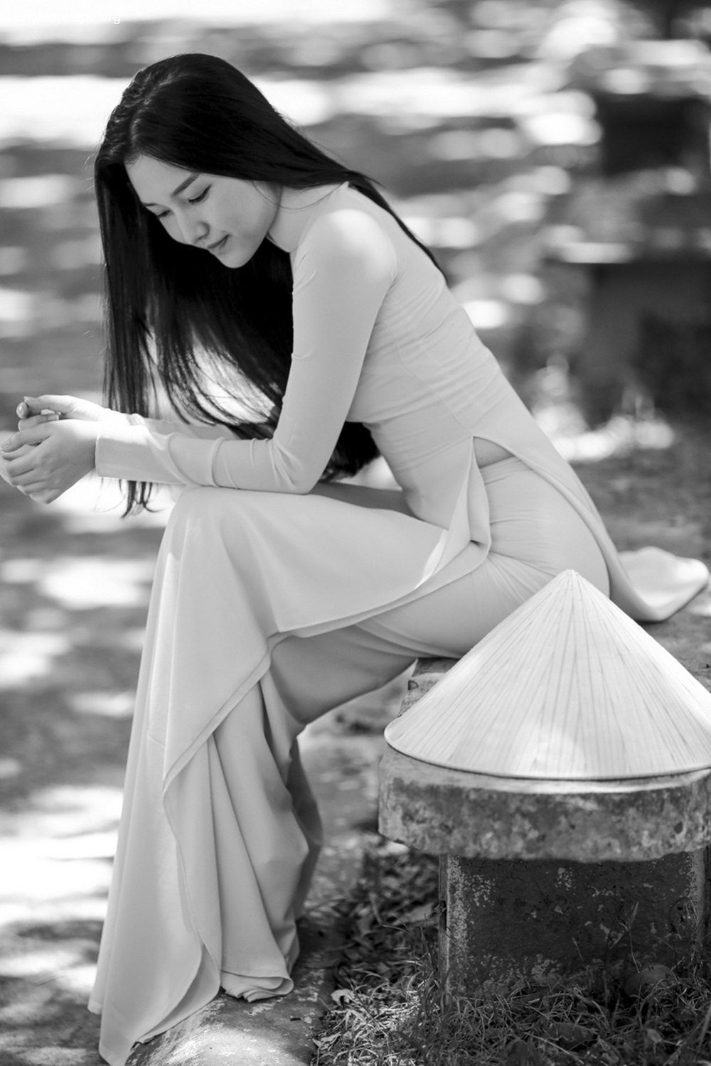 Le Tran Ngoc Tran