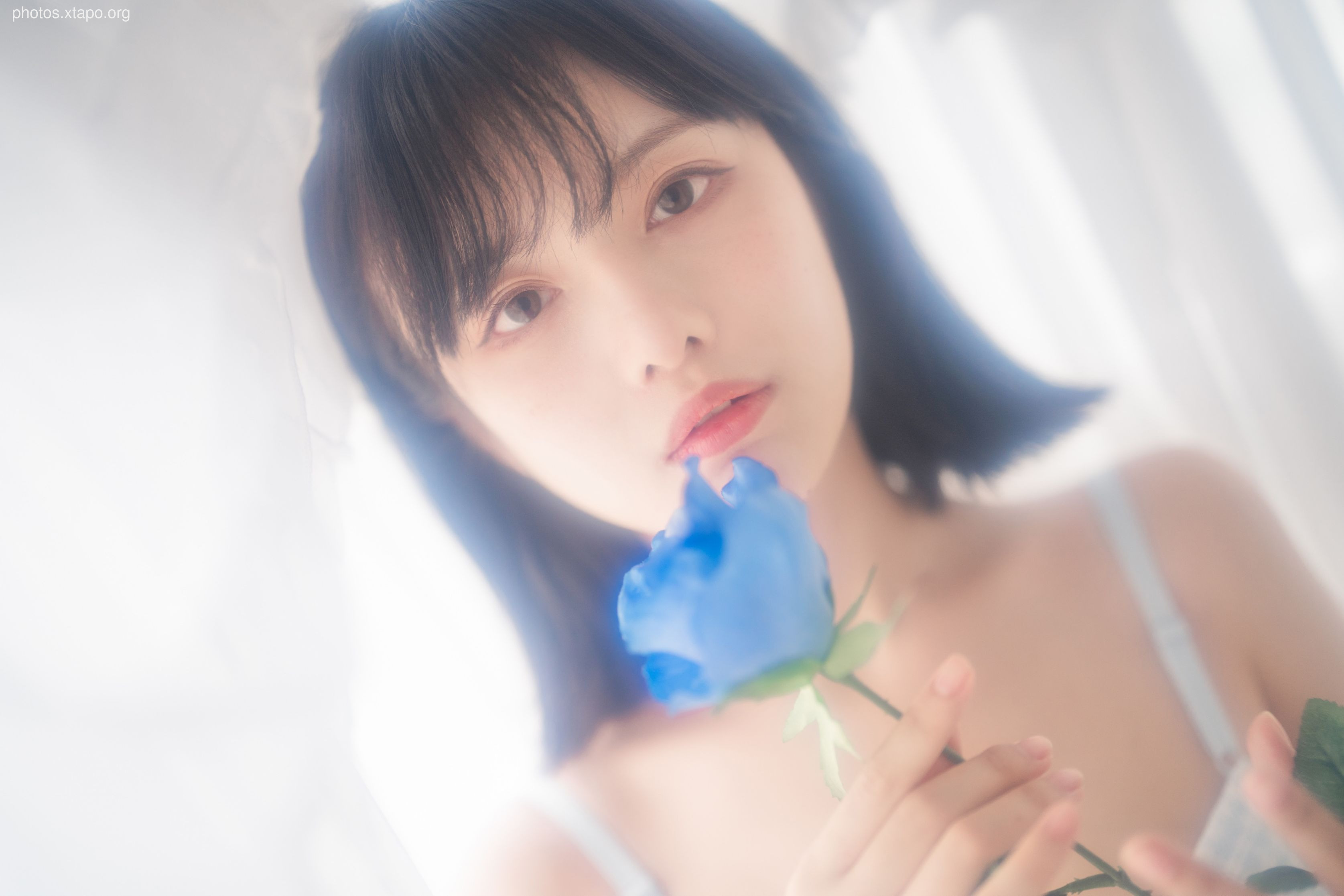 Shika Little Deer -No.78 Swimsuit 63P -107MB