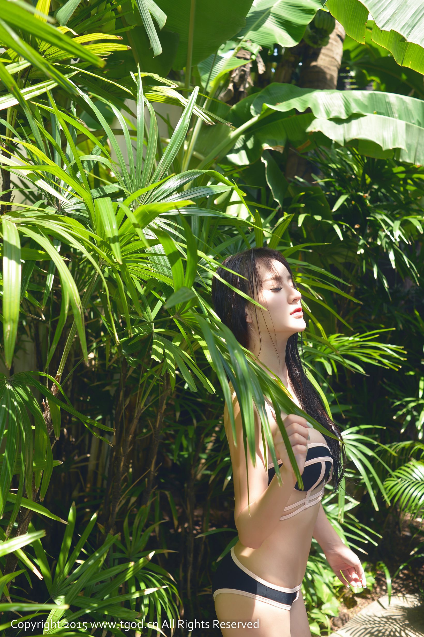 Cheryl Green Tree Phuket Tour second issue TGOD Push Goddess photo album
