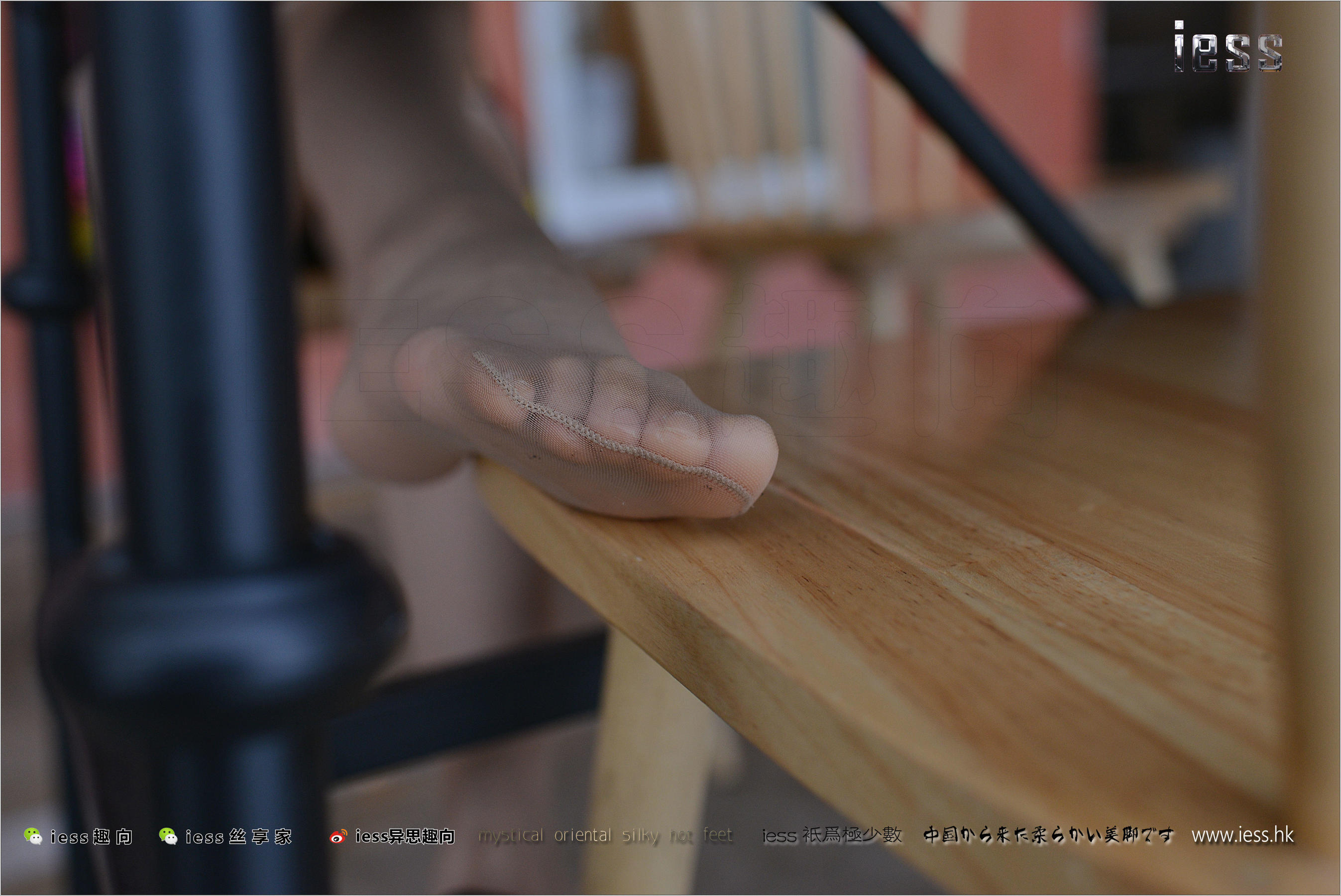 Silk Foot Bento 155 Momo MOMO's Sports Shoes