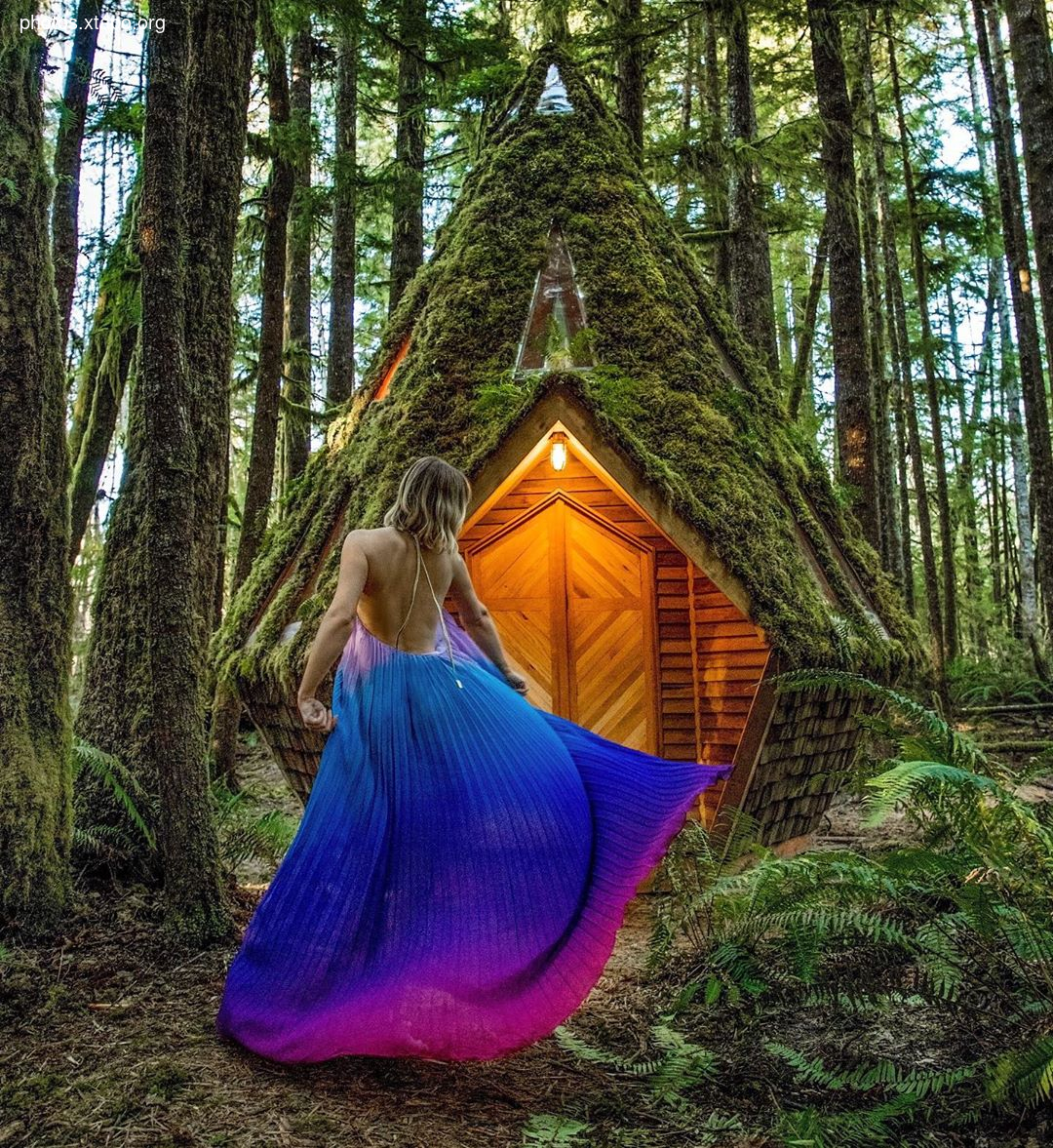 Building a wonderland of artisan cabins nestled in the PNW rainforest by Jacob Witzling & Sara Underwood