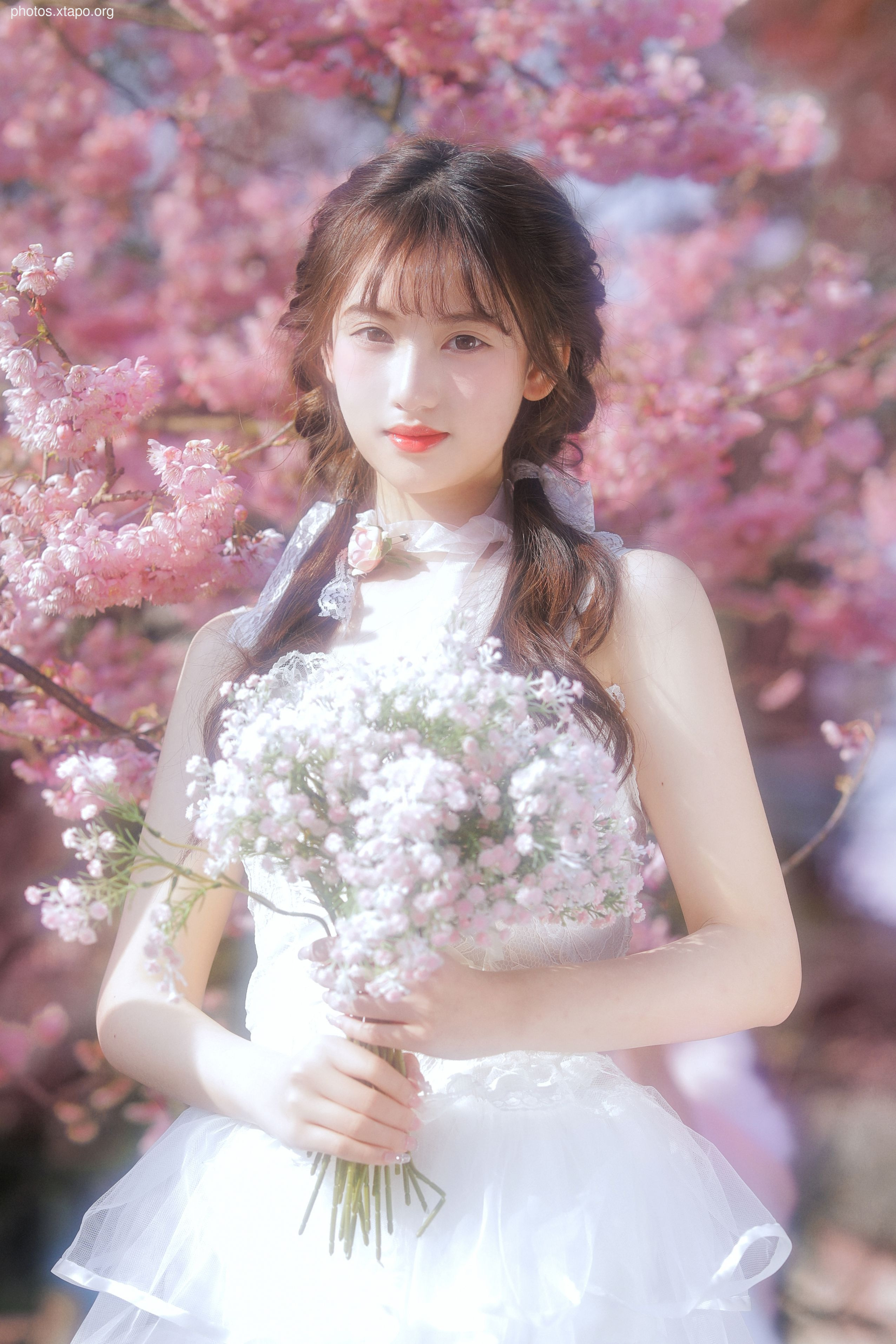 Yizi yiii cherry blossom limited