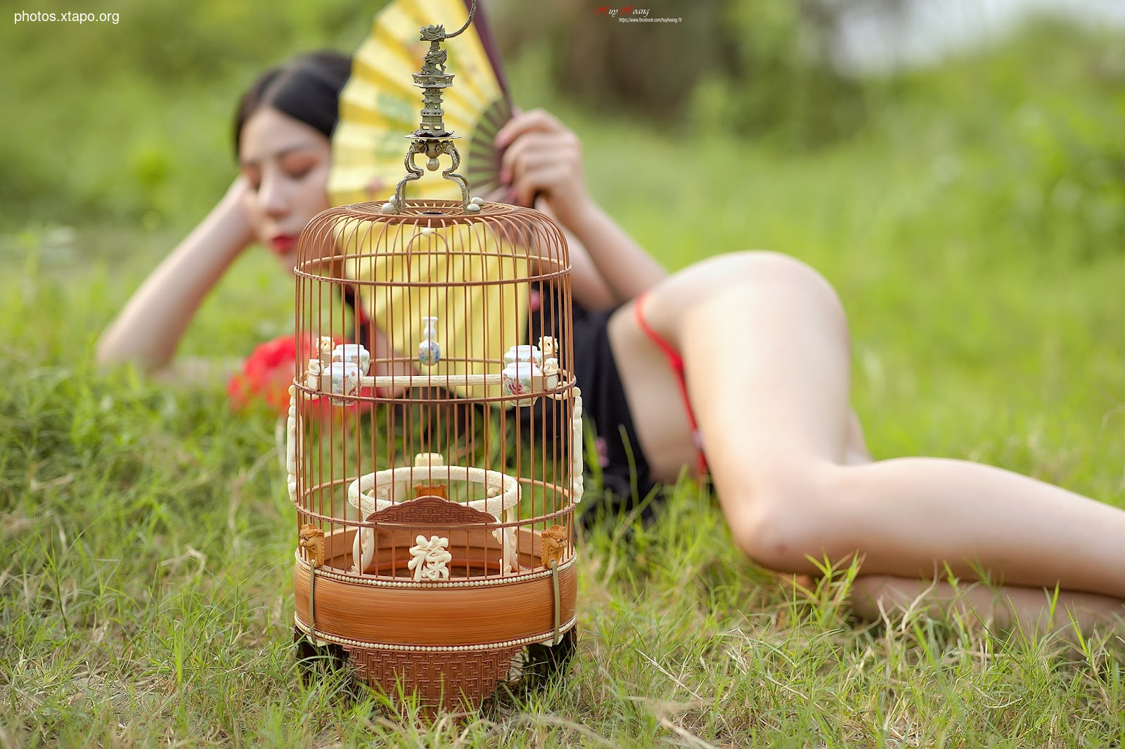 Bird cage pot fish,