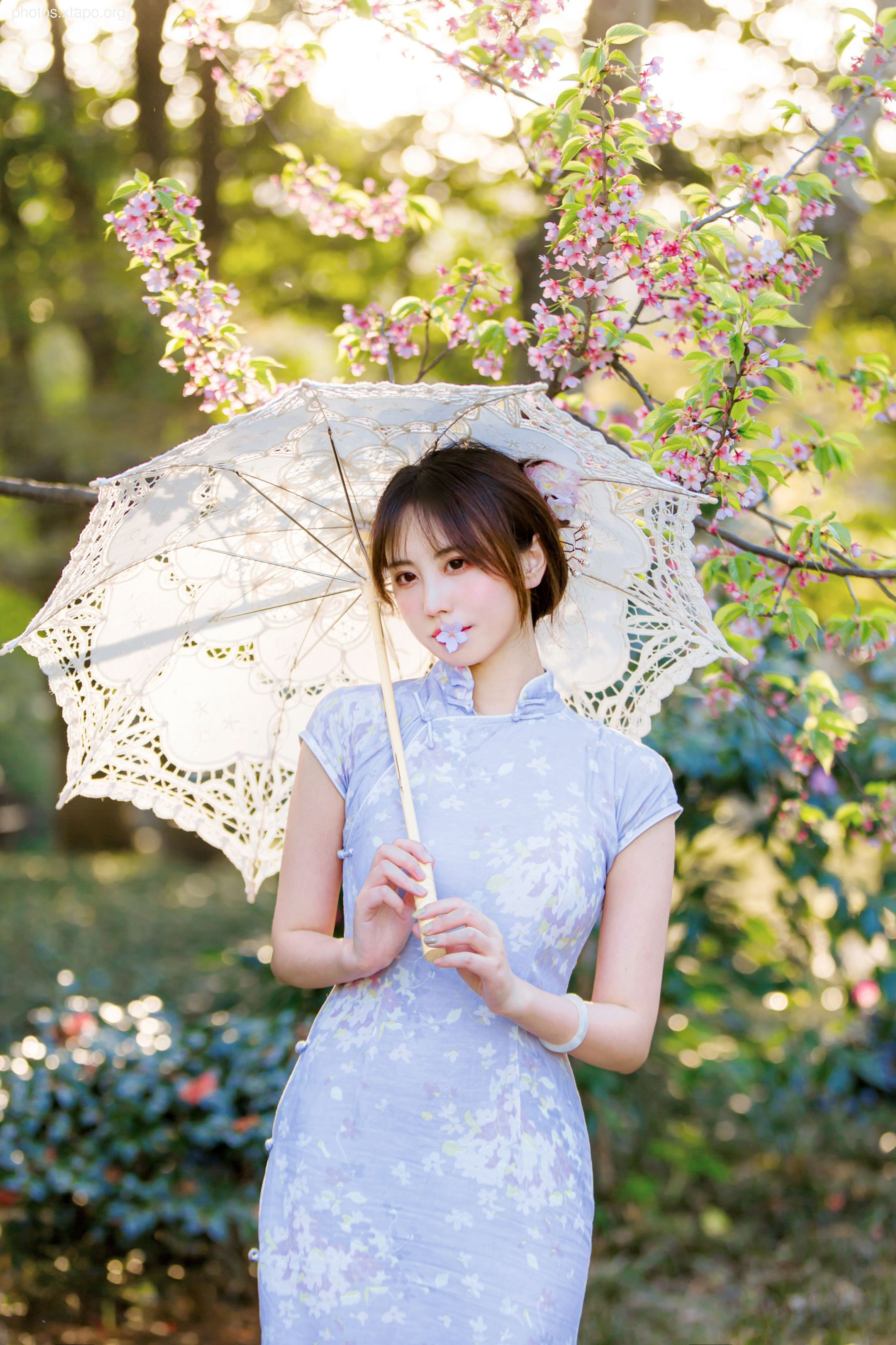 NO.026 Cheongsam 38P-377MB