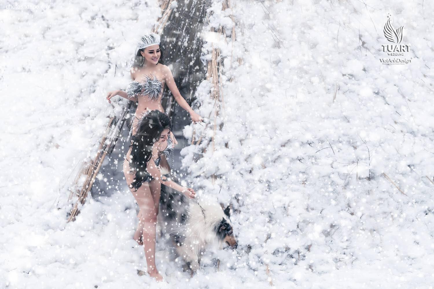 Tuyet Son Phi Ho, - Absolute Coc Coc V2 by Tuart