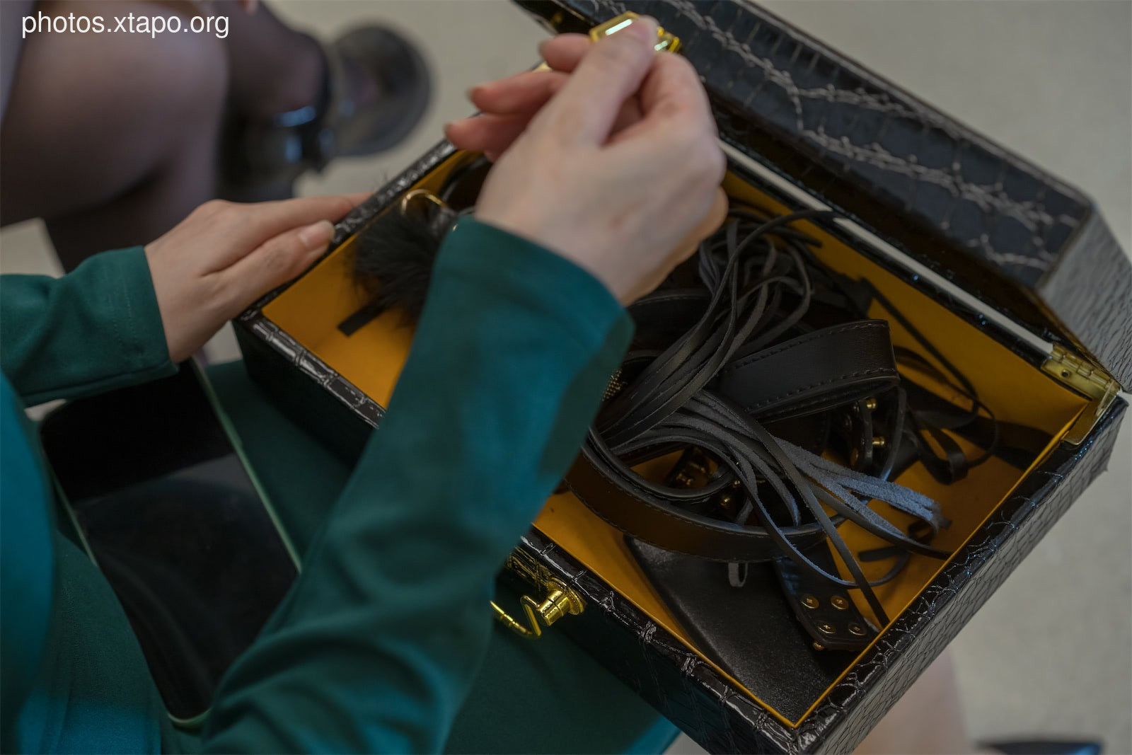 Autumn and Corgi Milk Tao Tao Tram