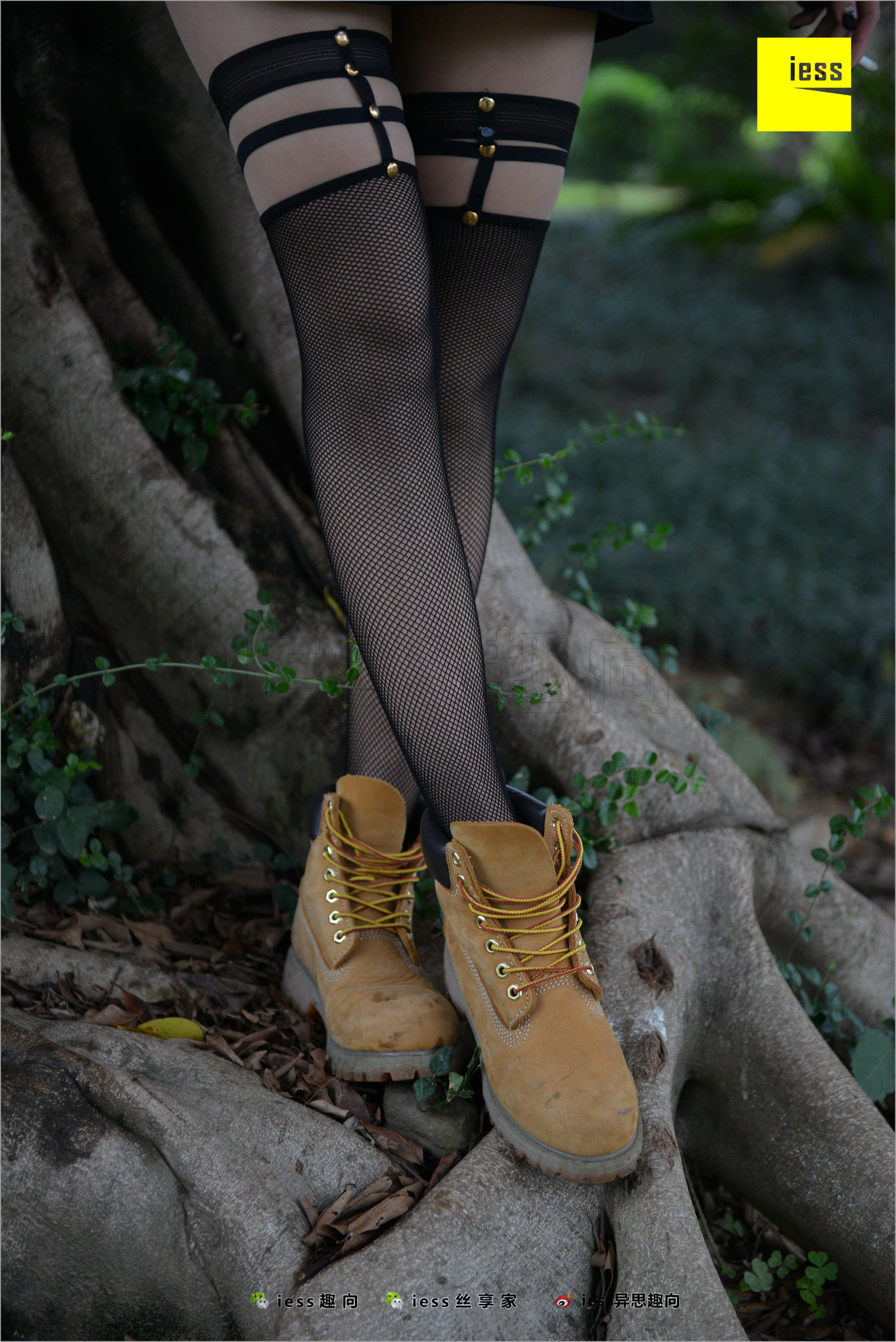 Xiaoxiao's Eye Socks that goes astray Different Thoughts to IESS Silk Foot Bento 233