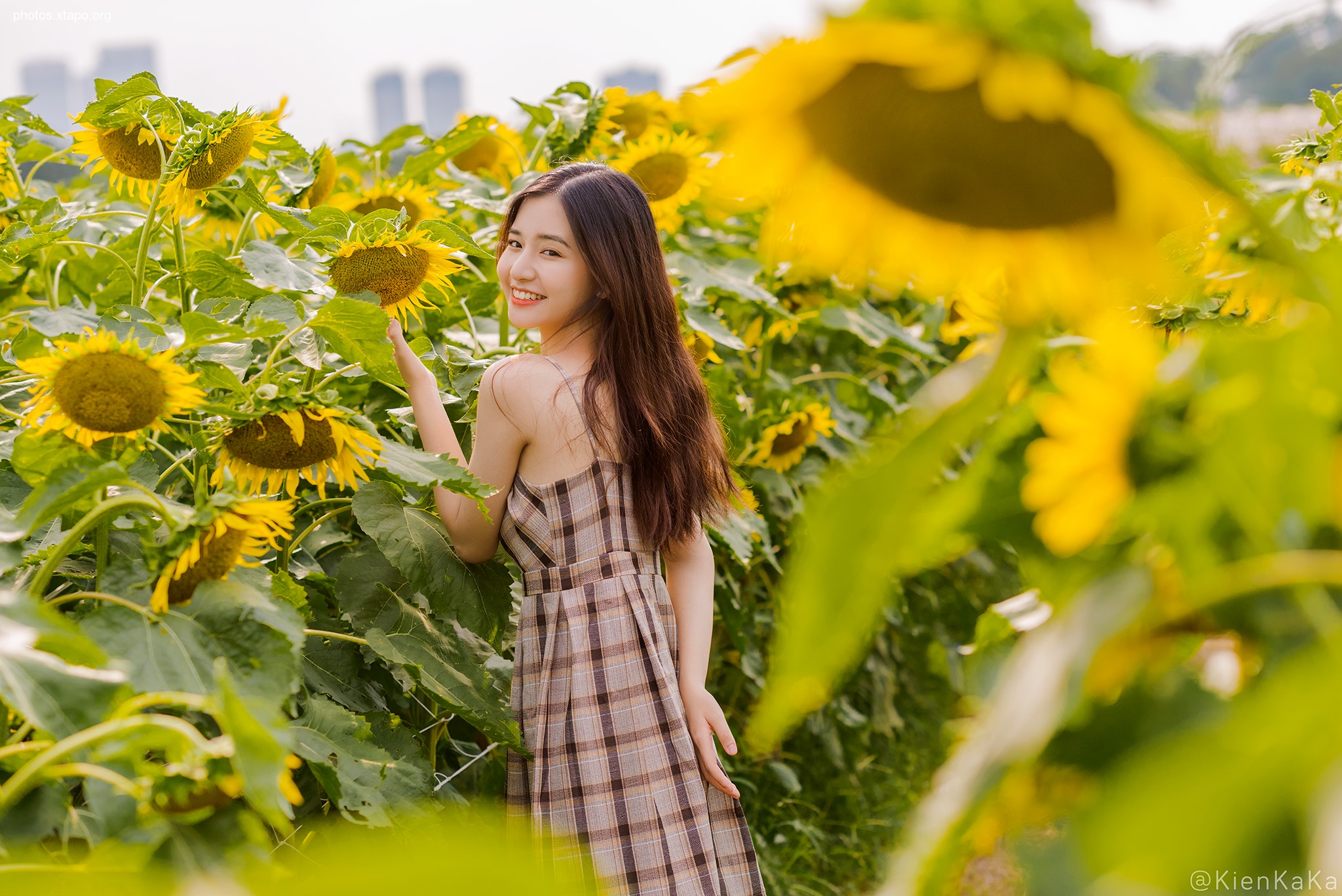 A woman in a checkered dress enjoys a sunny day in a sunflower field.