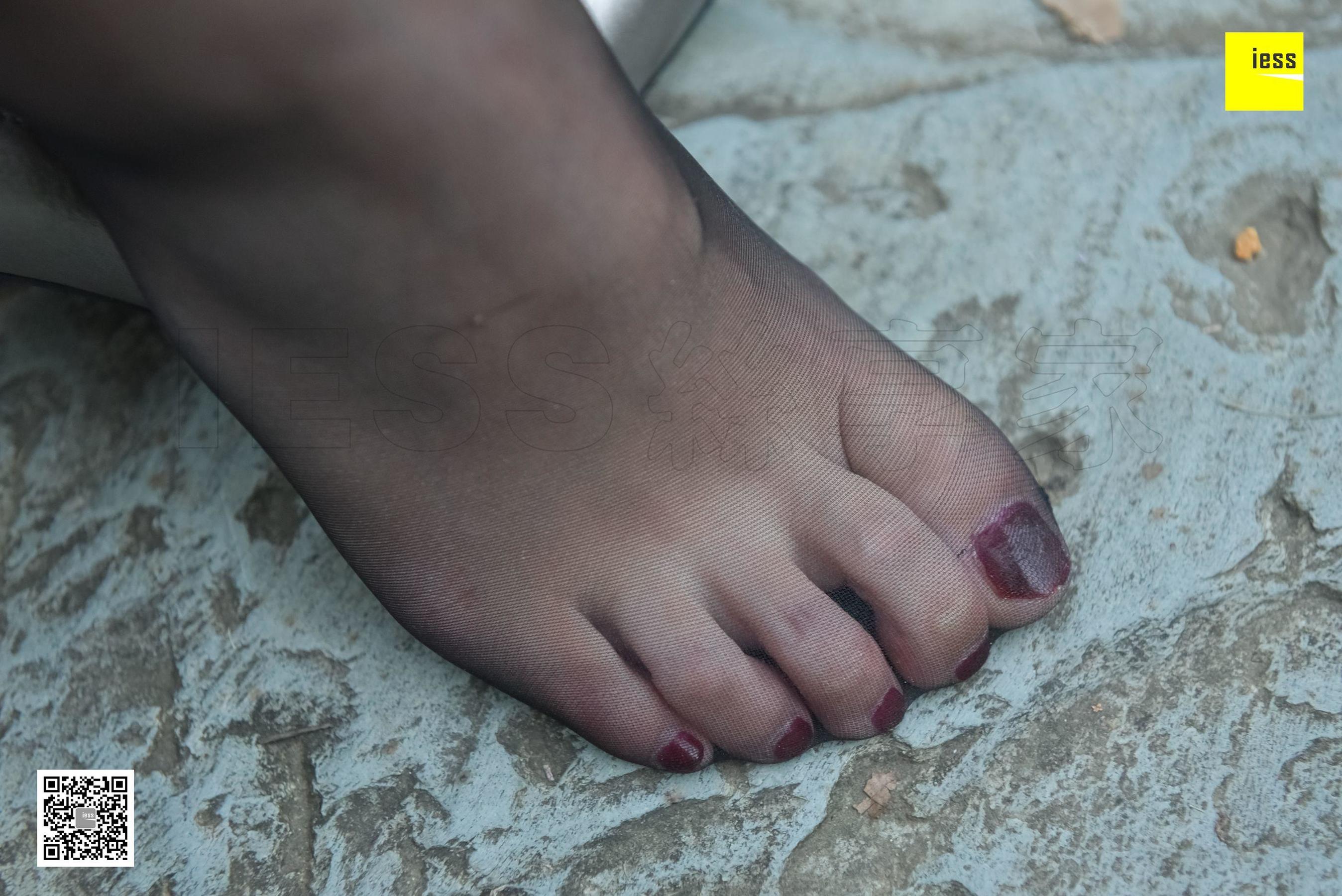 Silkxiang Home 115 Autumn and Autumn The Black Silk Beauty of the Garden IESS is thinking about it