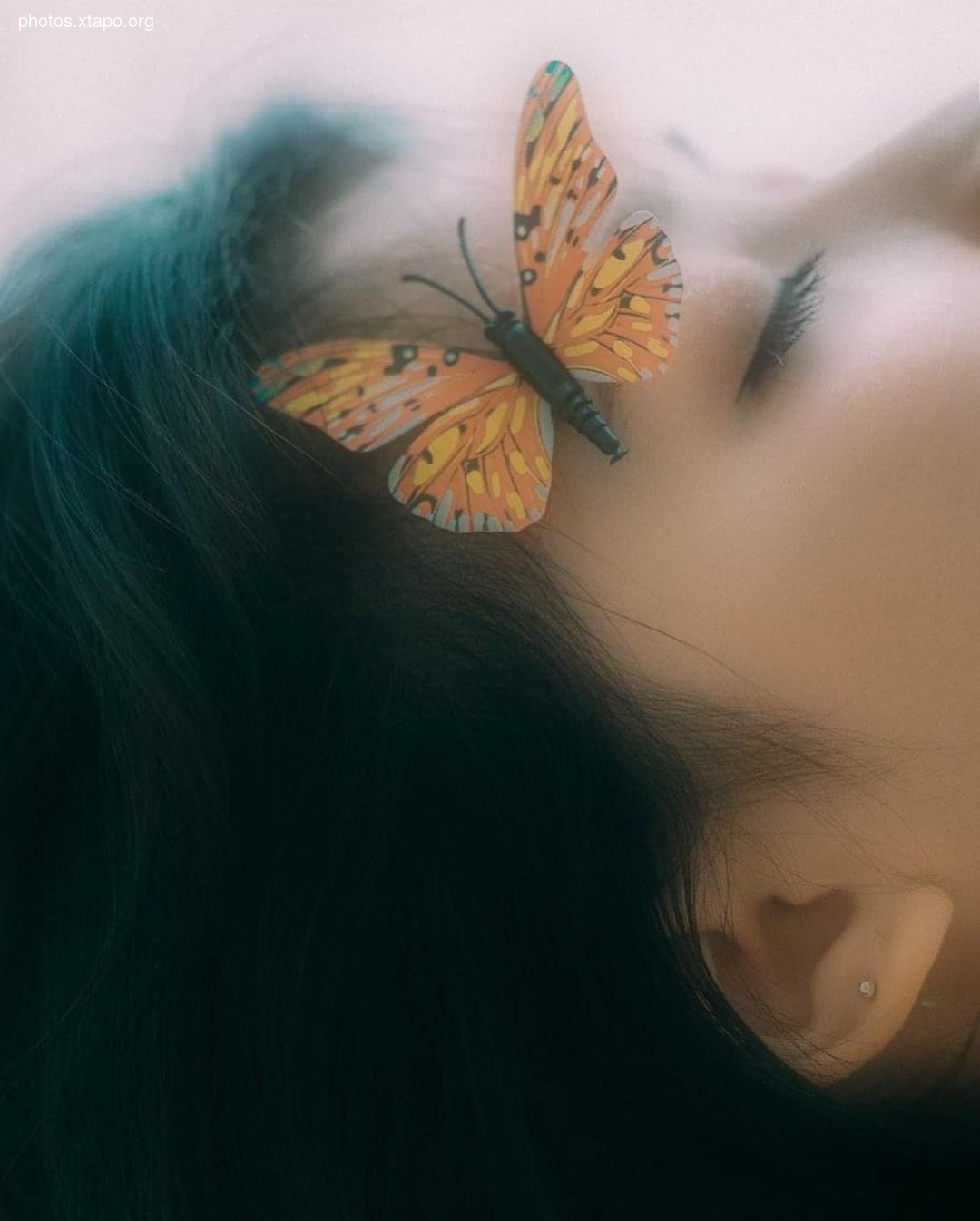 Nguyen Le Phuong Thao