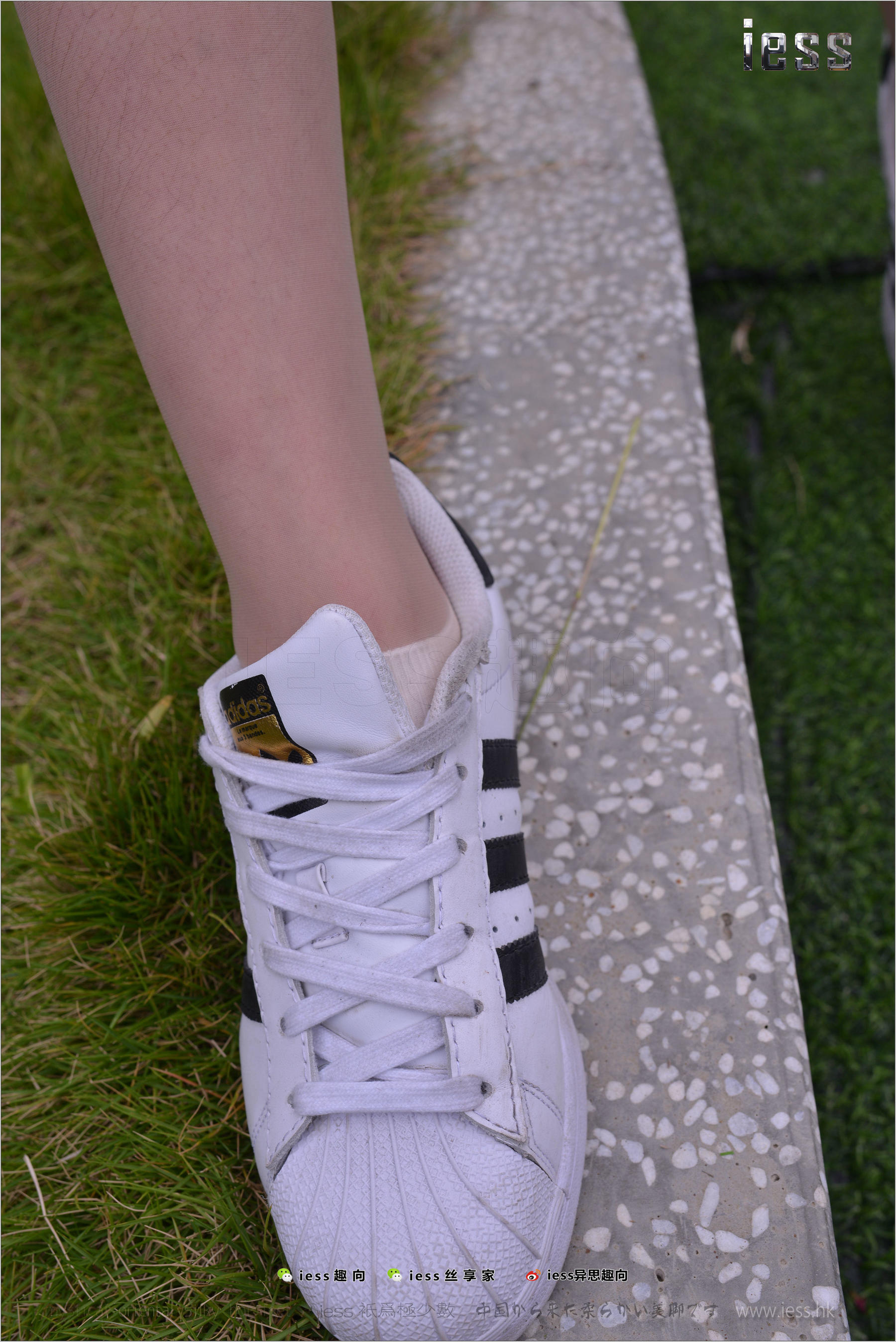 Silk Foot Bento 172 Uncle Yuan Stockings Cotton Stocks Shell Head Double Eleven Special_ IESS Different Thinking