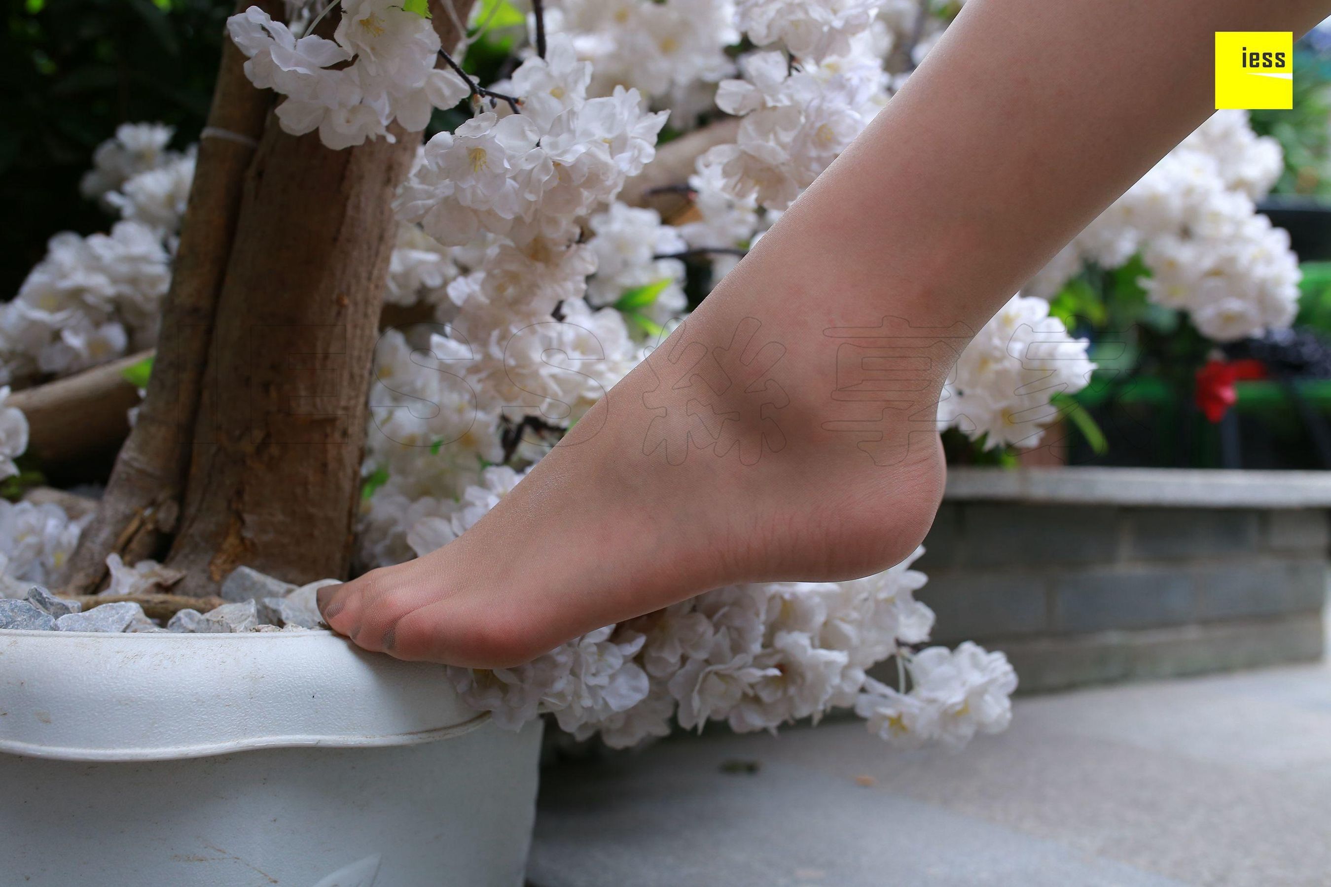 Purple Purple White Skin Beautiful toes Different Thoughts to IESS Silkxiang Home 235