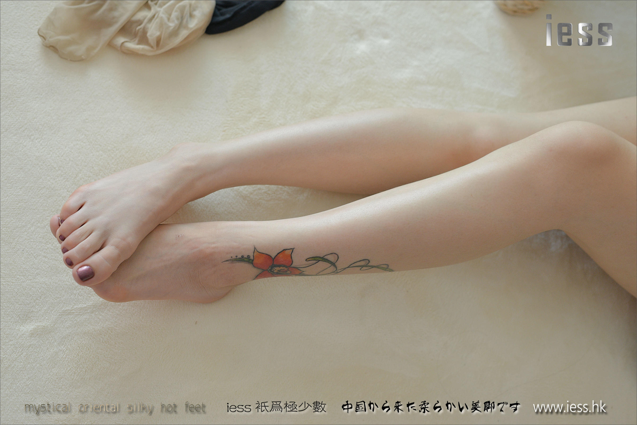 Silk Foot Bento 066 Youyou 2016 IESS Thinking Funbian