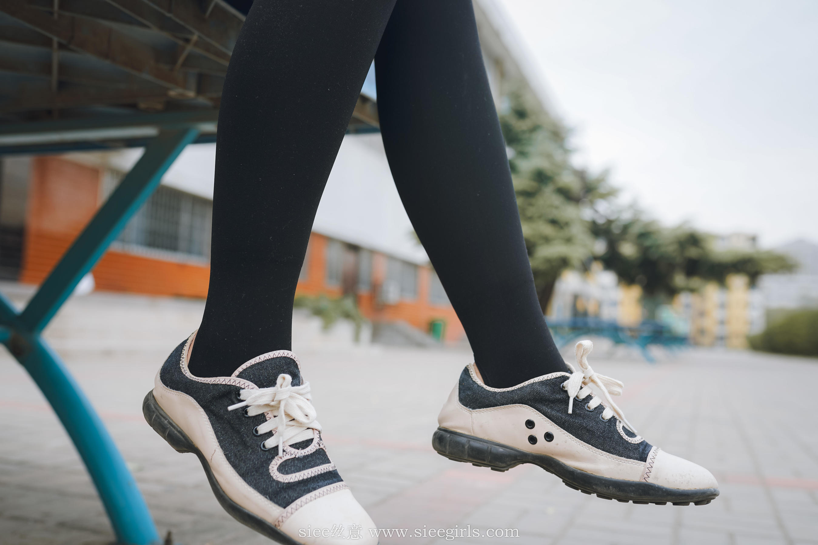 Si Yi Siee The romantic sisters of the bear