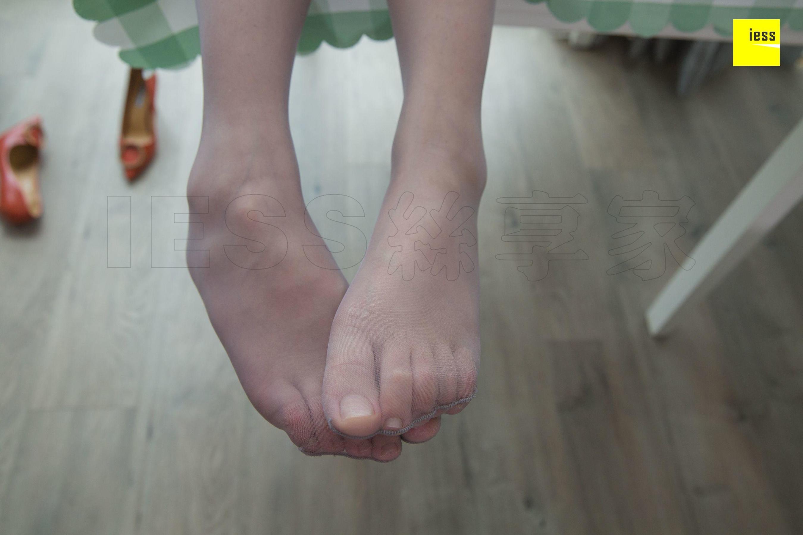 Different Thoughts to IESS Model Wenxin Wenxin Black Demon Ji