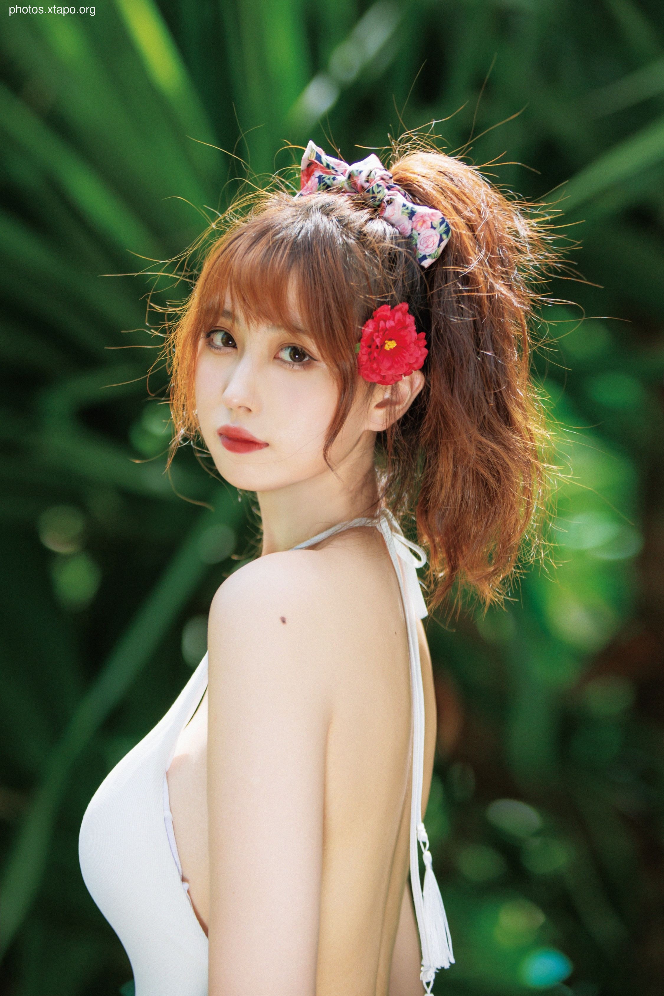 NO.034 Showa Flower 35P-435MB