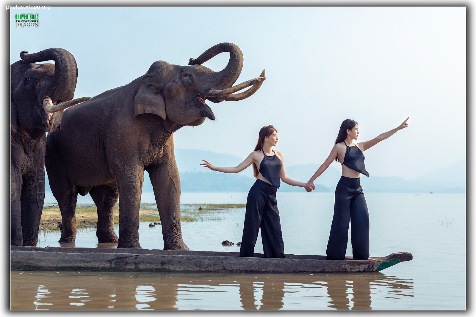 Thao Chi vs Kim Phung,