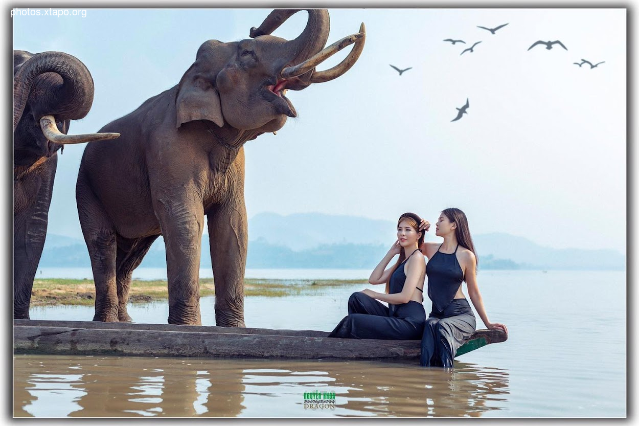 Two women in black dresses relax on a boat, with two elephants in the background. Birds are flying overhead.