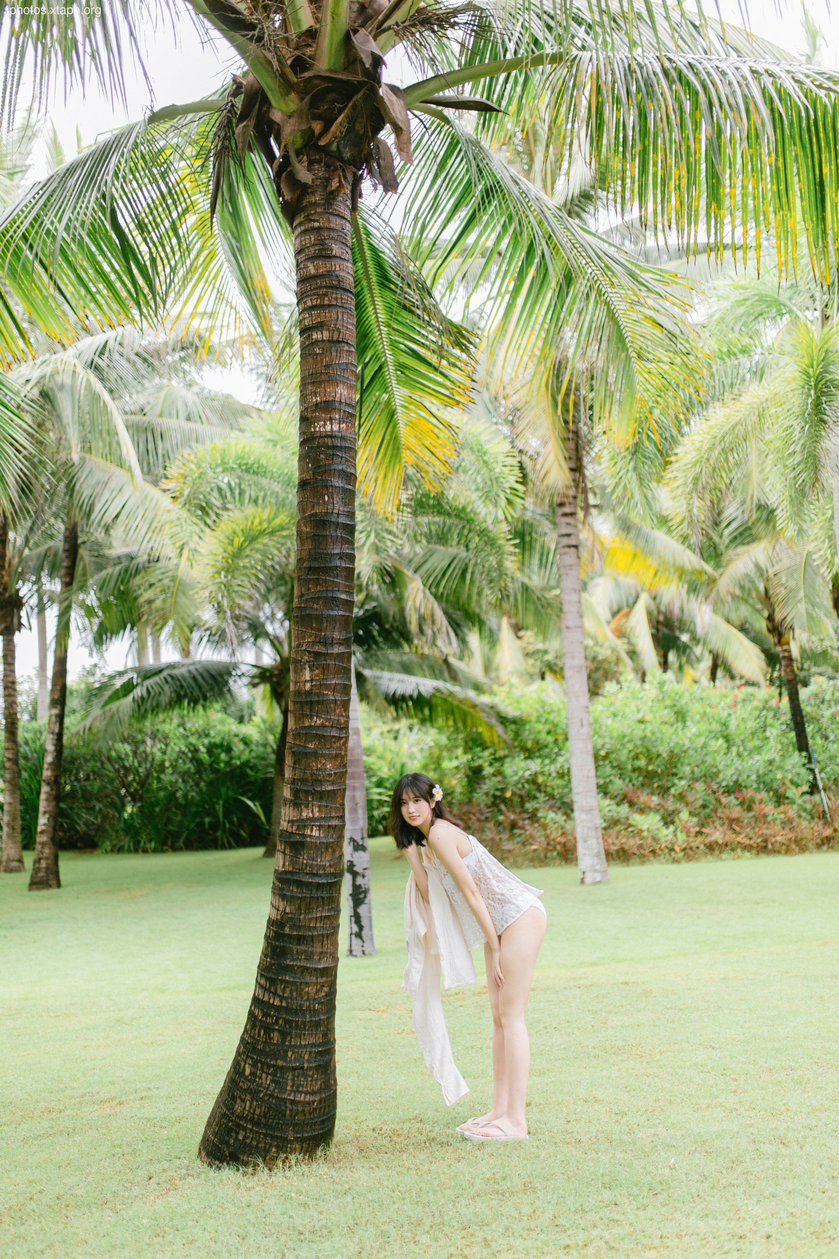 NO.016 Day Dream 35P-368MB