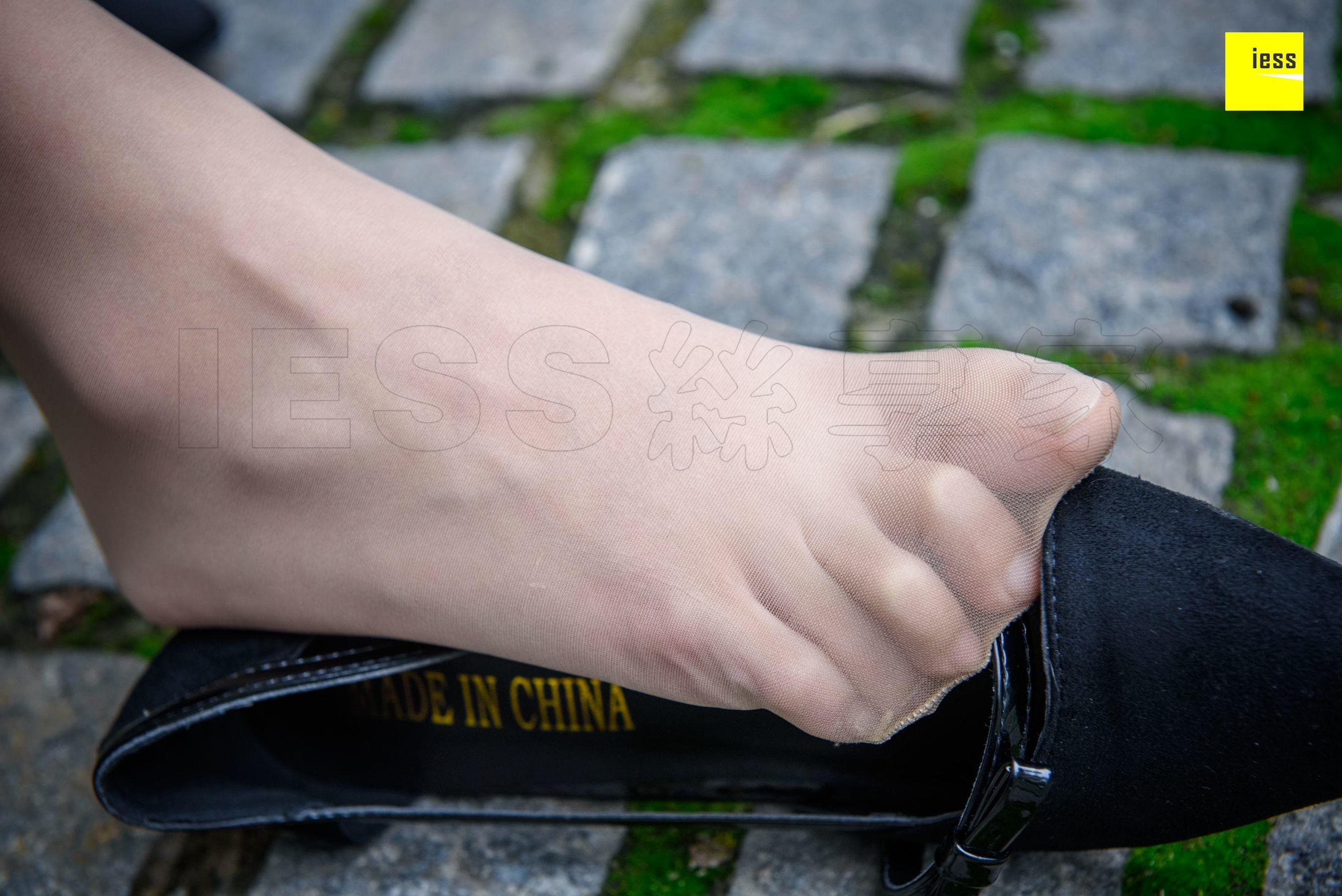 Wan Ping's Rose and Patriarchs Fun Thoughts to IESS Silk Enjoy Home 161