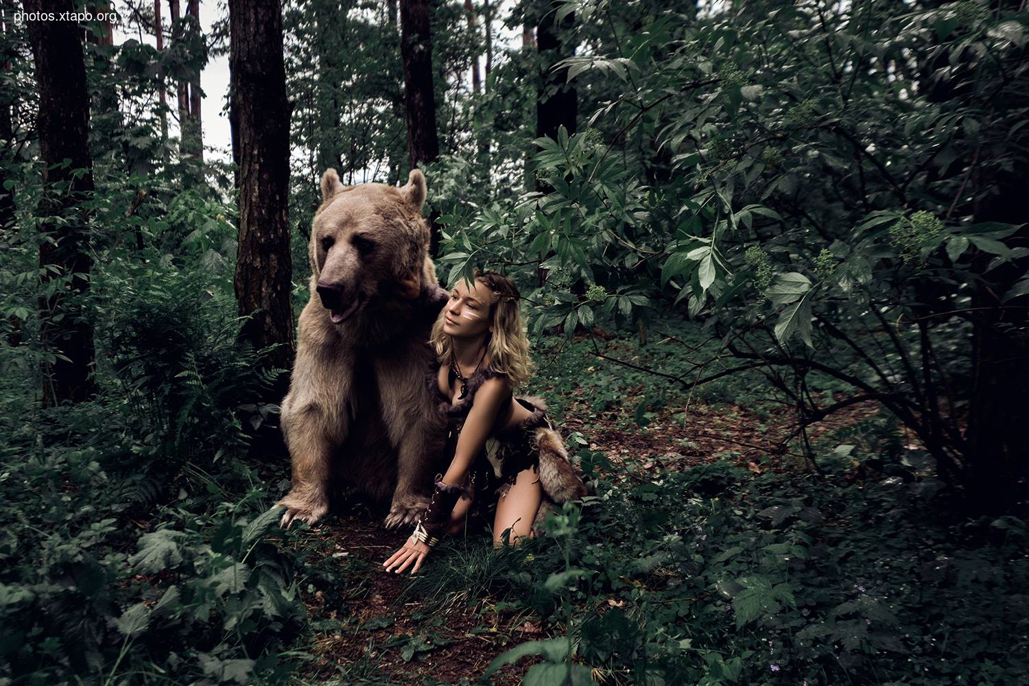 Russia nature, forest and animals by Olga Barantseva