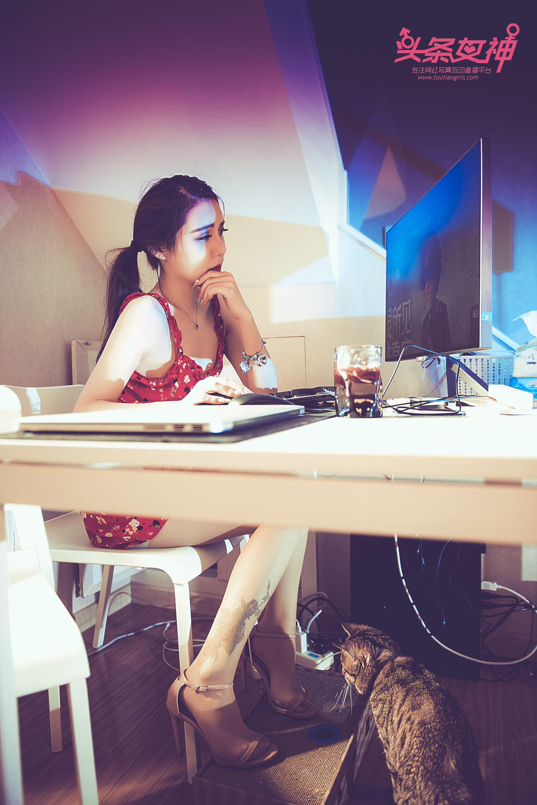 Fifth Personality Toutiaogirls