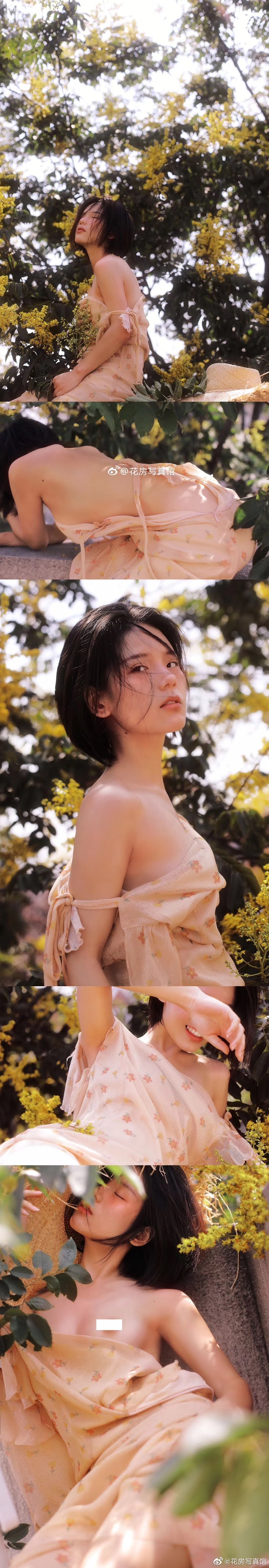 Flower room description of the shop 花房 写真馆