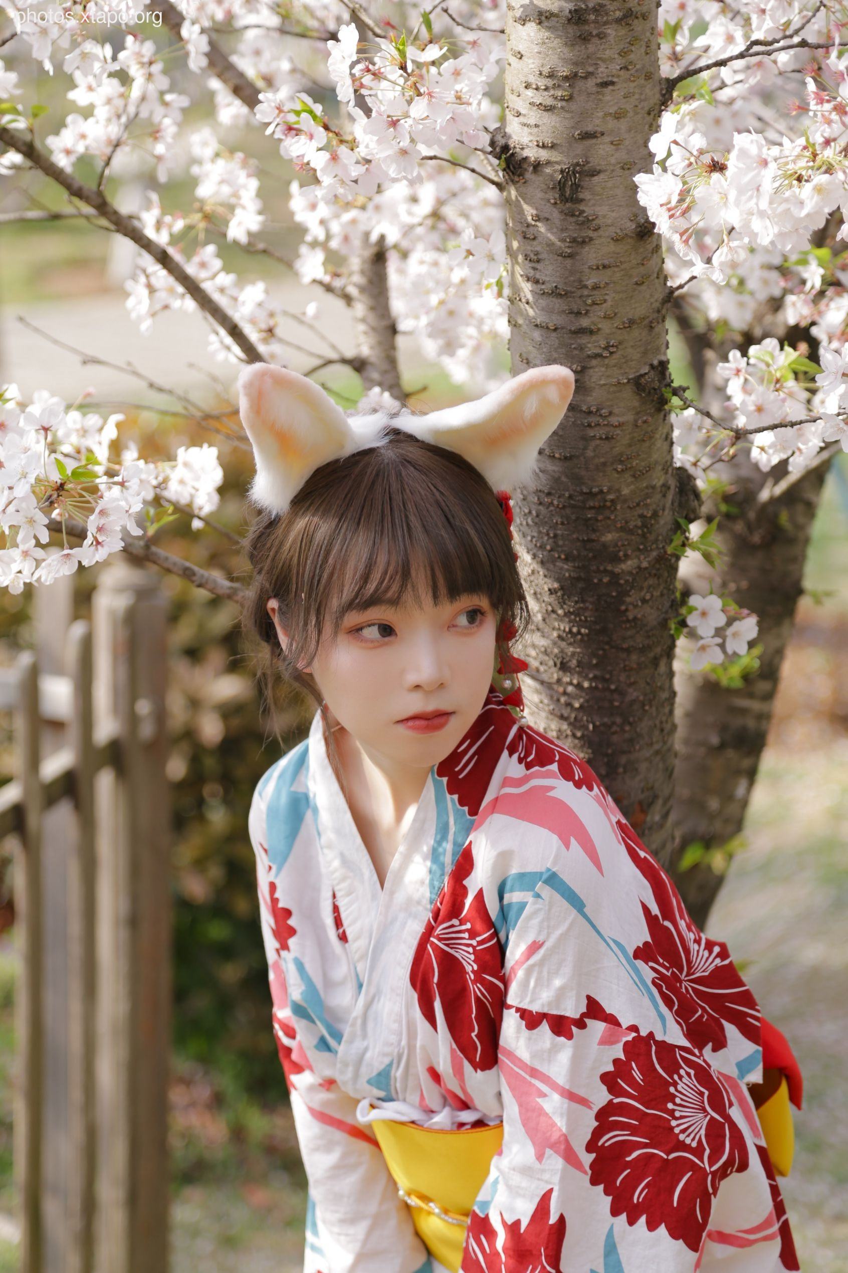 NO.017 Sakura Rabbit