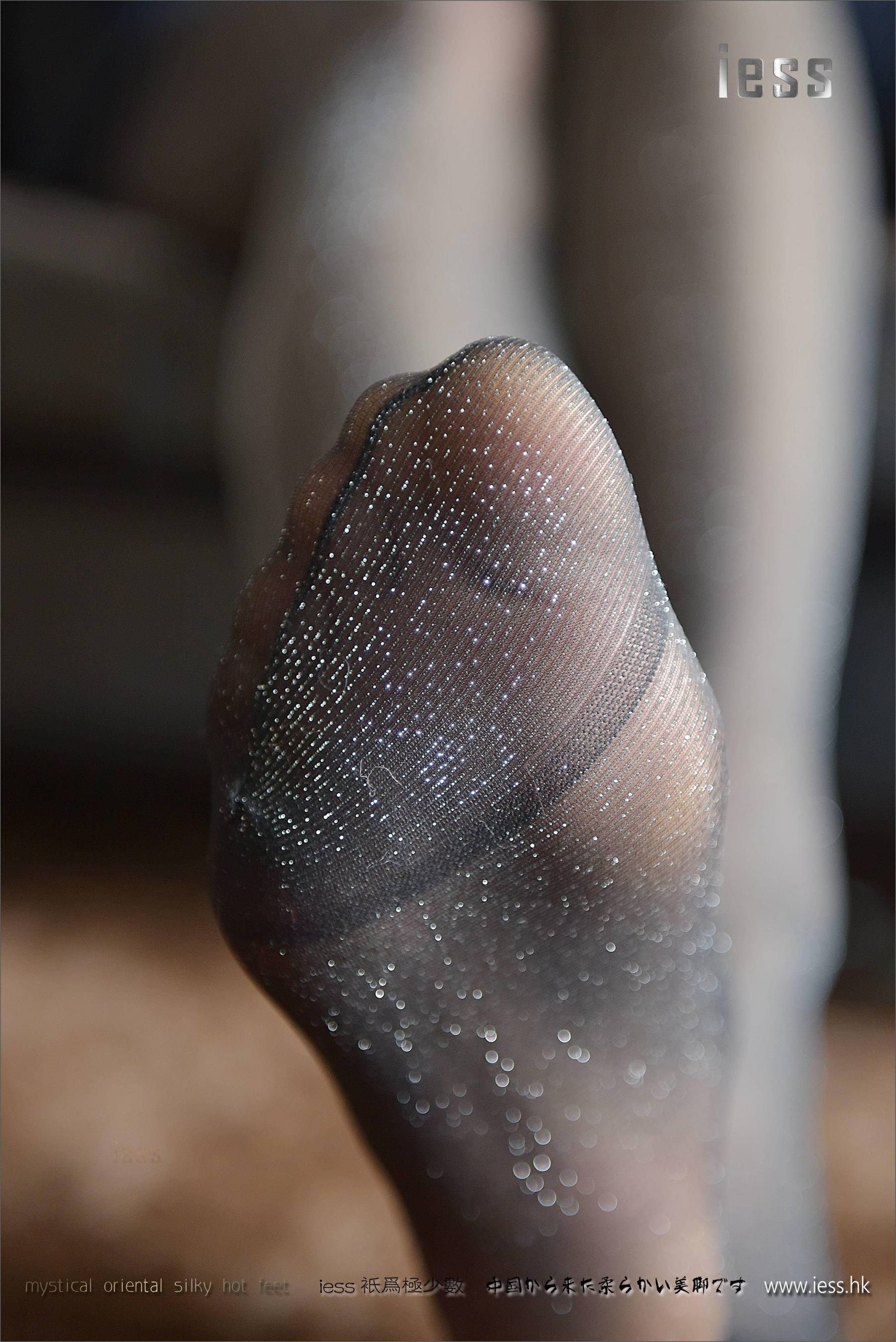 Silk Foot Bento 106 Little Six Silver Scallion Flash Silk IESS is thinking about it