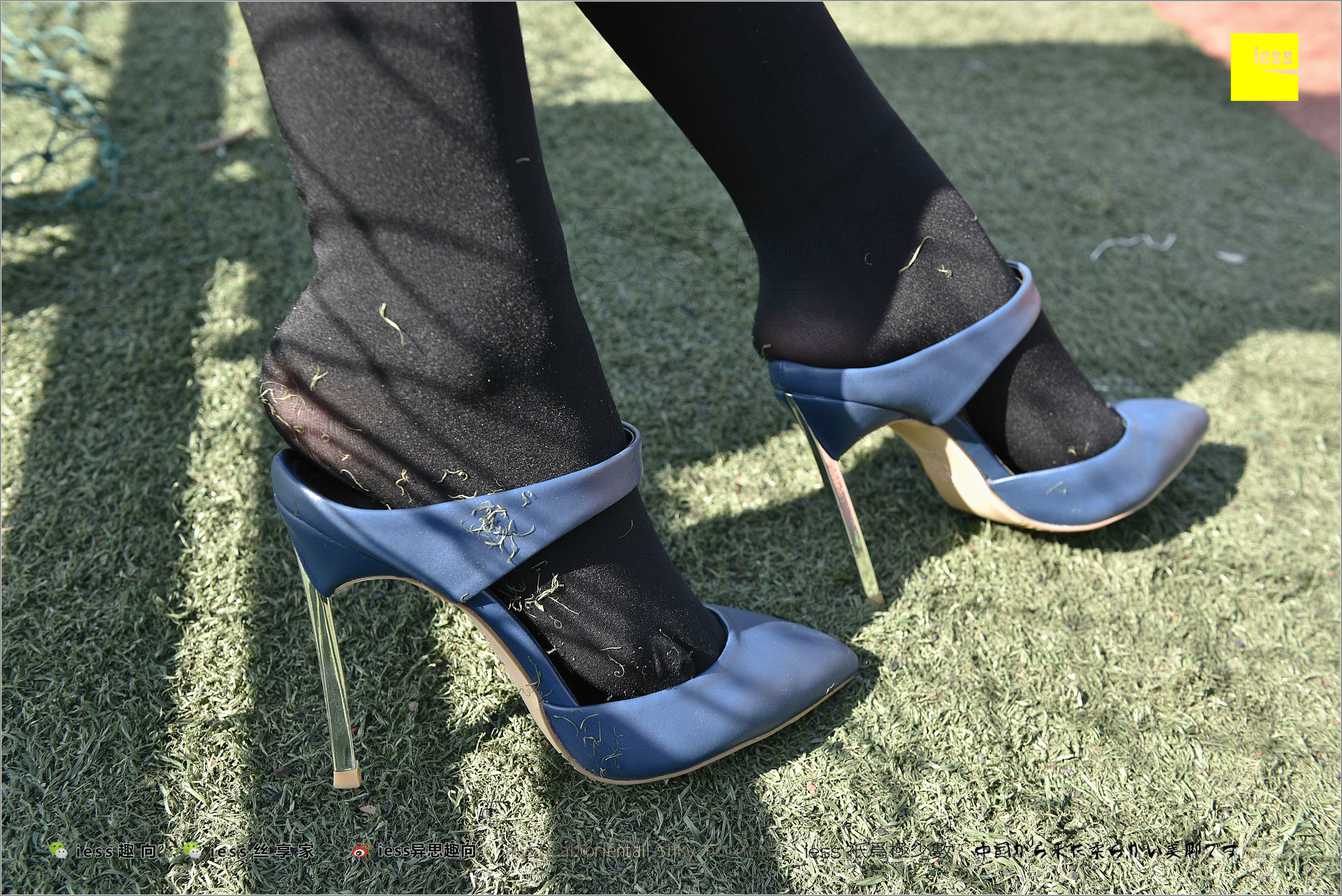 Silk Foot Bento 182 The Thick Black Silk Temptation of Thick Black Silk