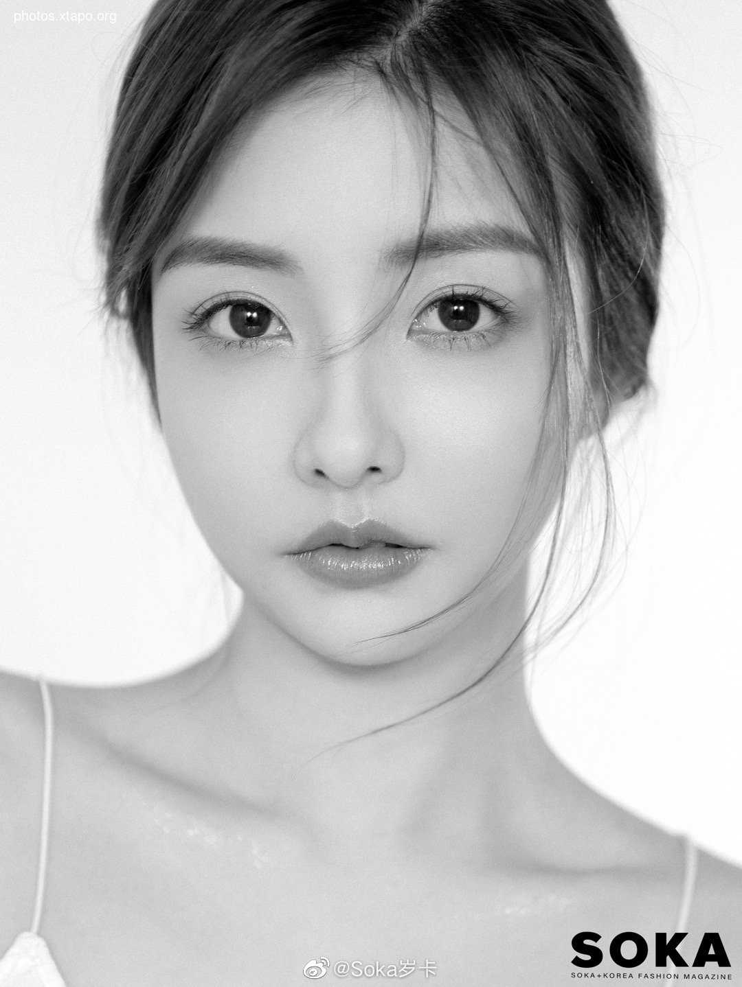 Tieu Dieu 小 Dodo 鸟