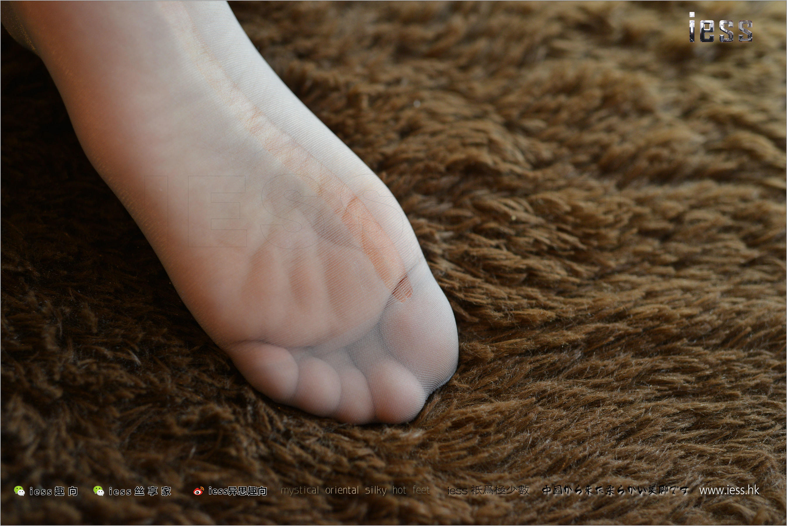 Silk Foot Bento 135 New Model Momo Gray Silk OL in flat shoes IESS is thinking about