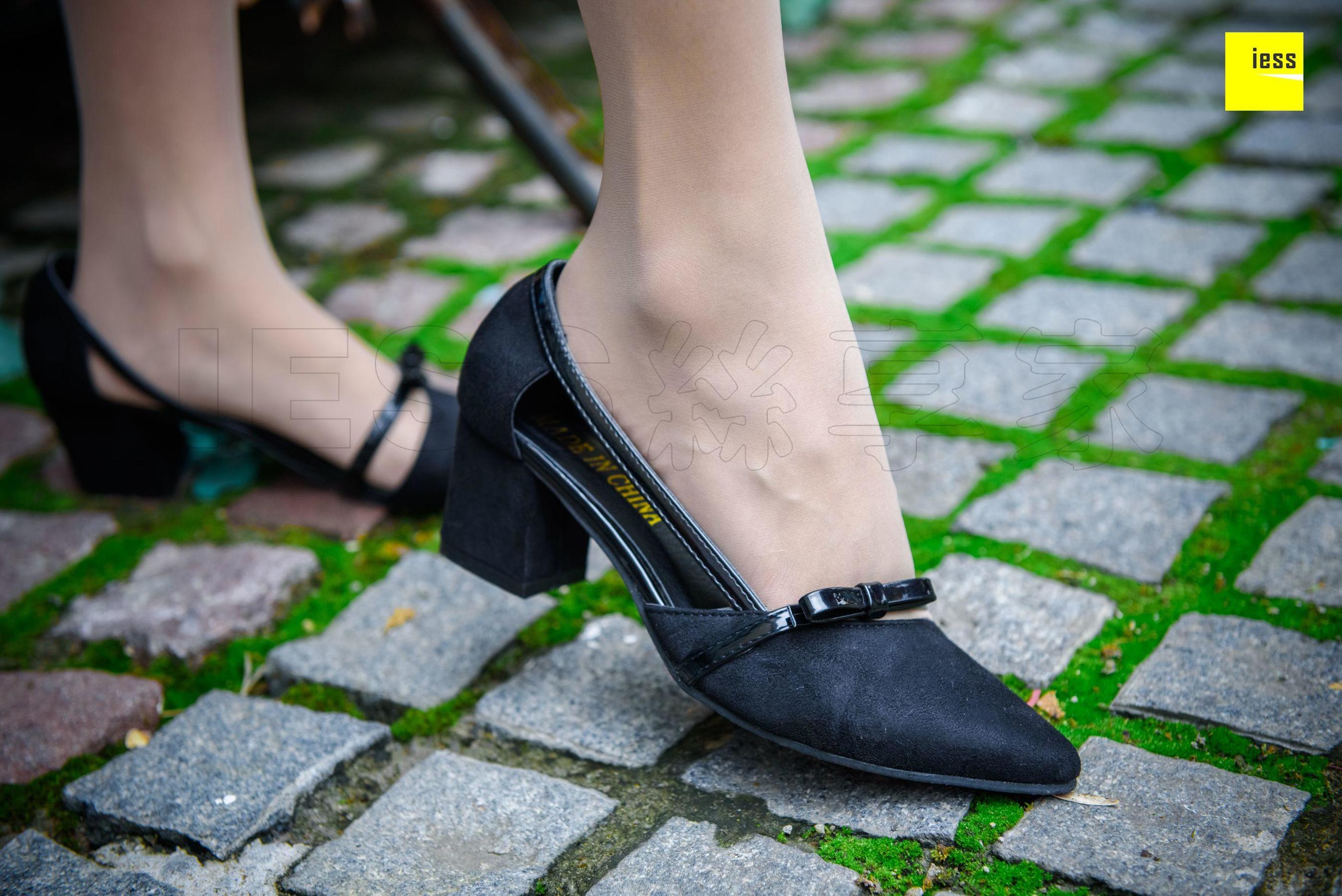 Wan Ping's Rose and Patriarchs Fun Thoughts to IESS Silk Enjoy Home 161